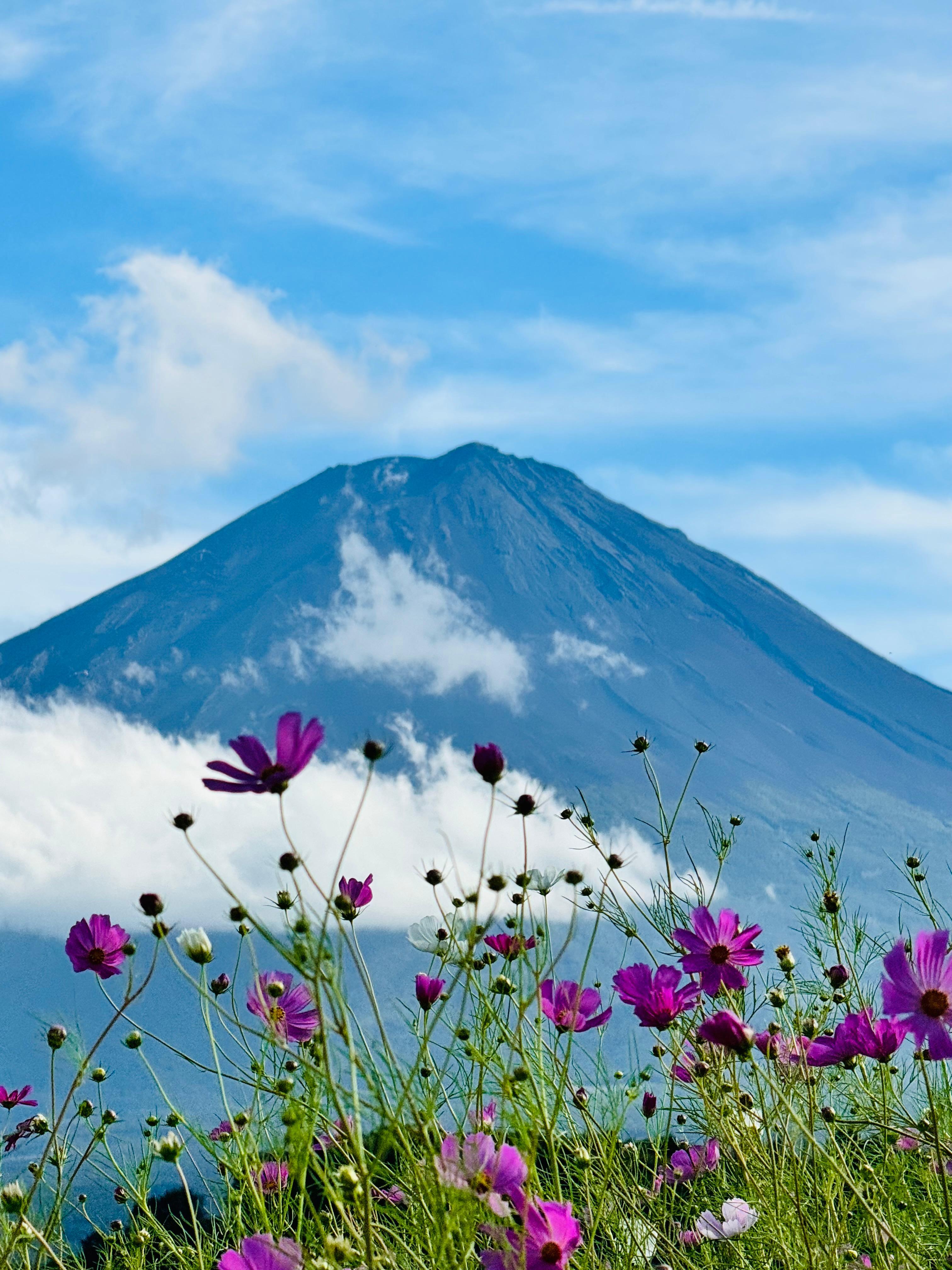 Tokyo to Mt. Fuji & Hakone: Private Full-Day Tour with English Driver