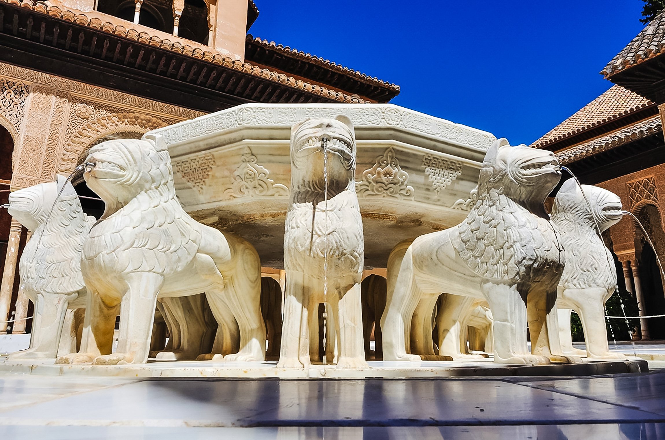 Alhambra and Generalife guided tour in Granada — image 12