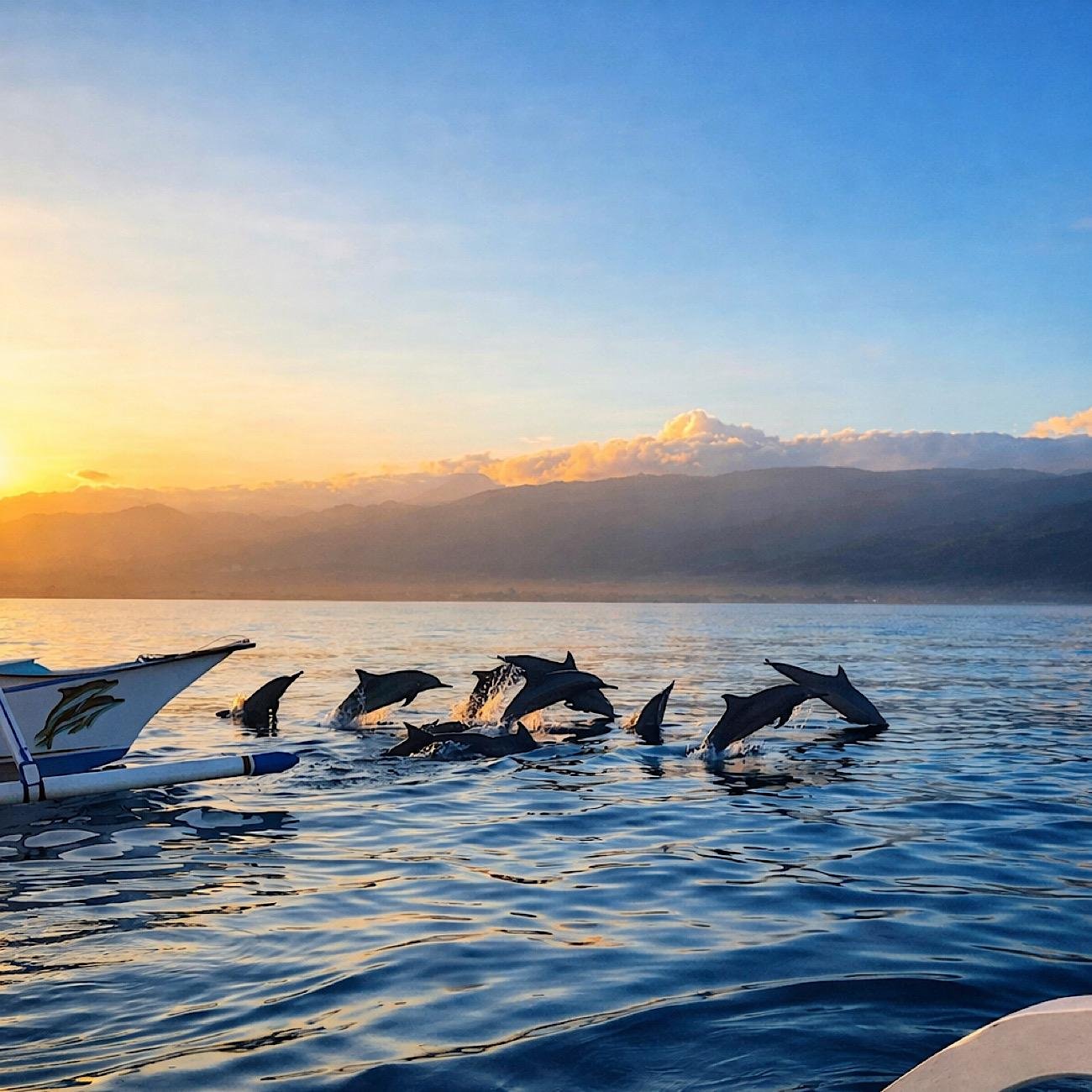 North Bali Sunrise Dolphin Watch, Snorkeling & Cooking Experience