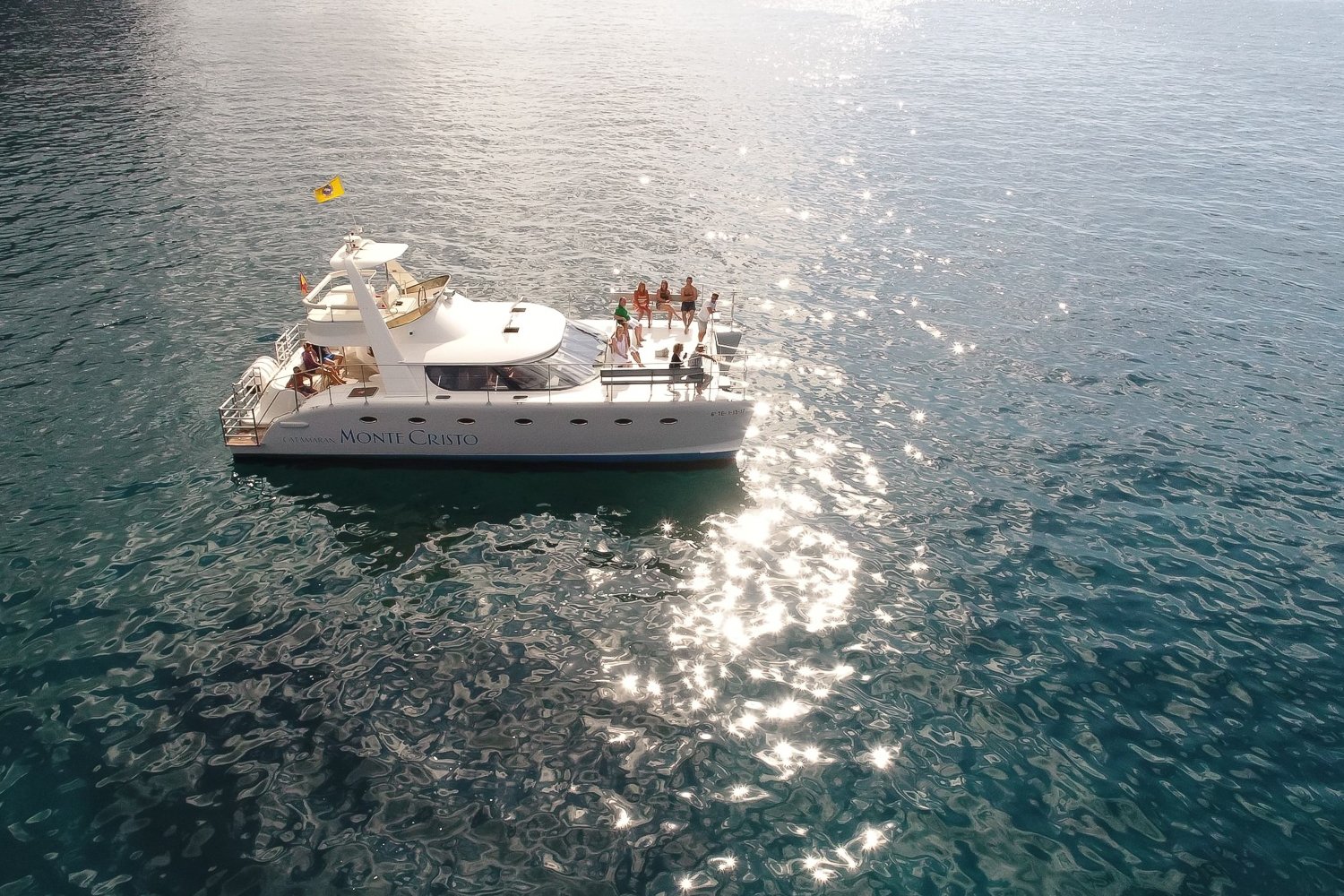 Tenerife Whale & Dolphin Catamaran Cruise with Buffet