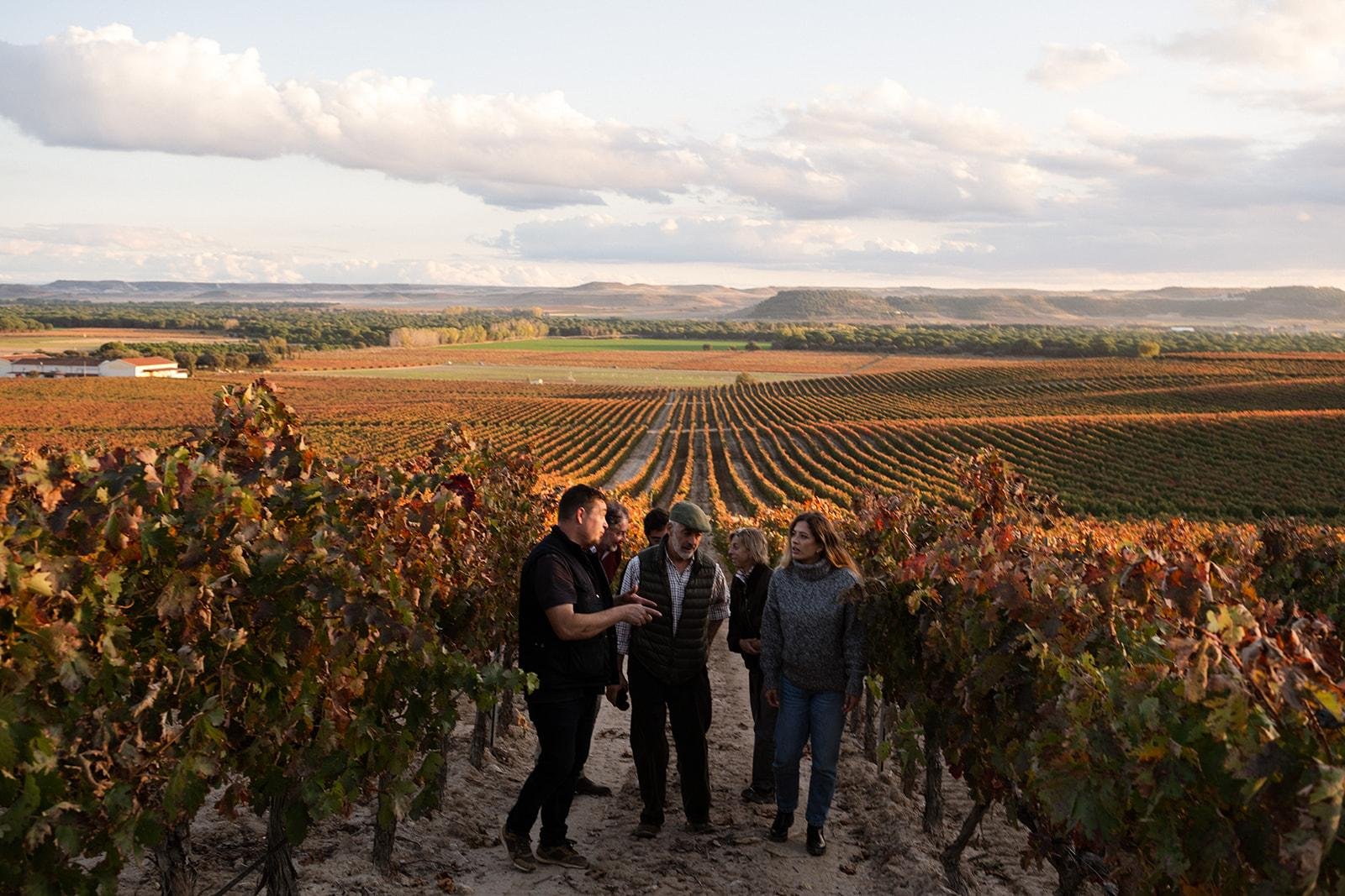 wine tour in Ribera del Duero — Ribera del Duero: Experience, vineyard and mountain 4x4, aperitif and tasting. - 2026 (Verified Reviews)