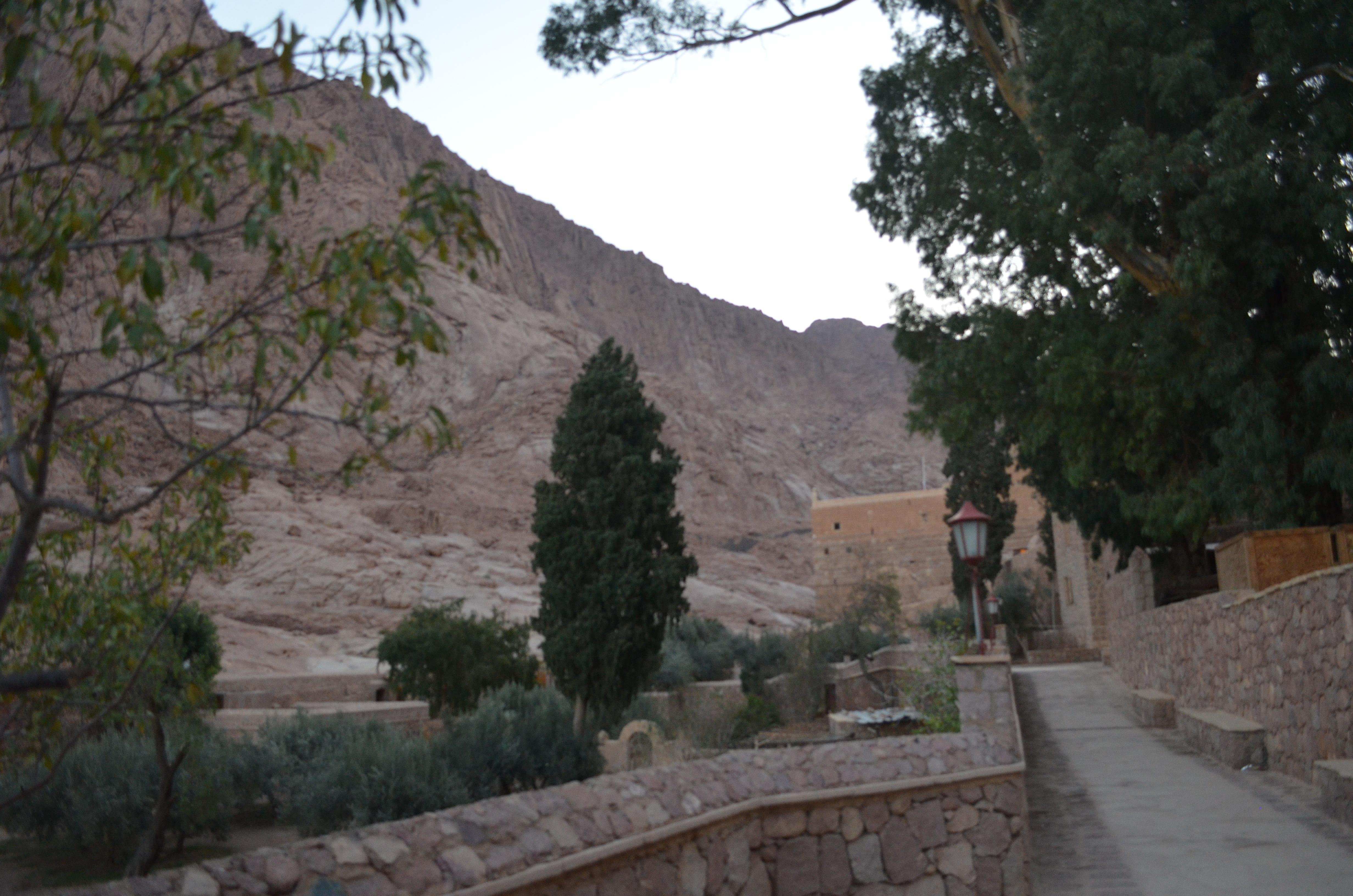 Sharm El Sheikh: Private Day Tour to Saint Catherine's Monastery