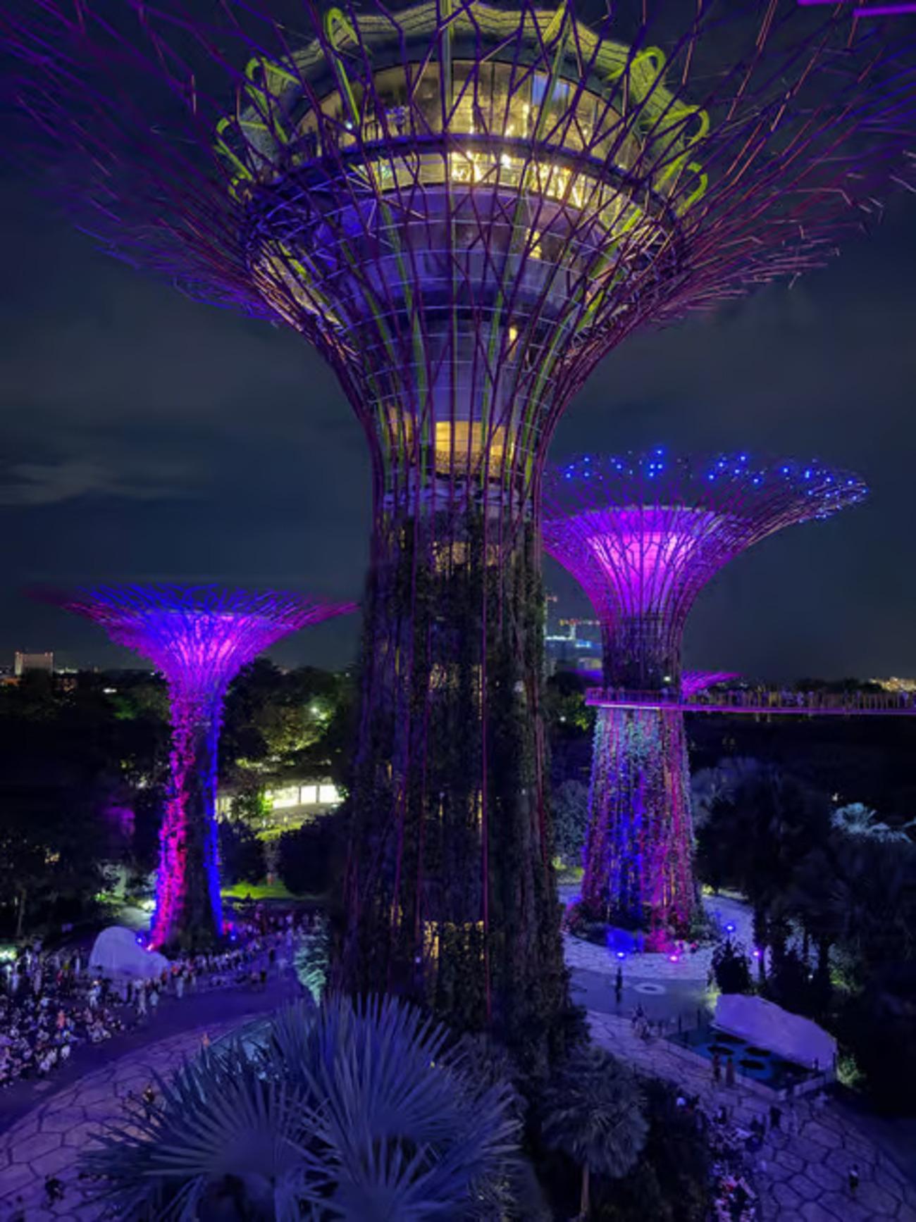 OCBC Skyway, Flower Dome, & Cloud Forest :Garden by the Bay - 2026 (Verified Reviews)