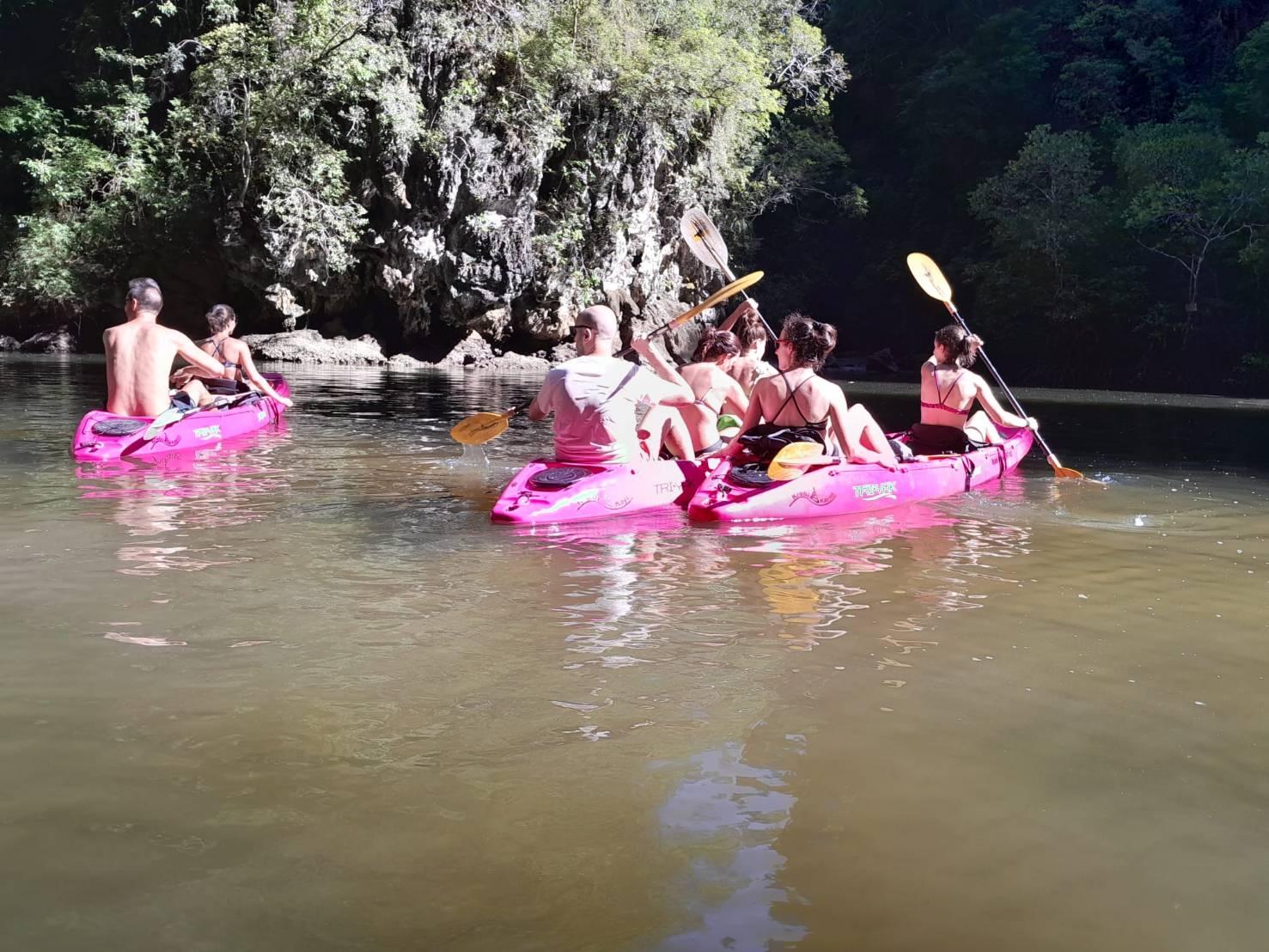 Krabi Ao Thalane Half-Day Mangrove Kayak Tour