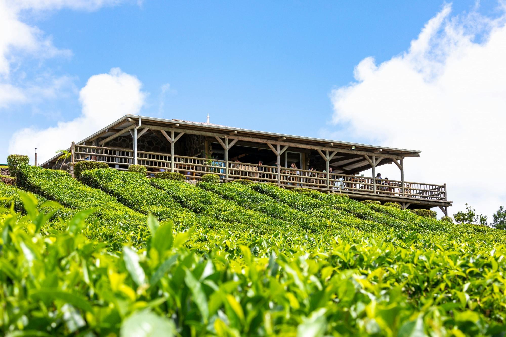 Southern Mauritius Heritage & Tea Estate Experience