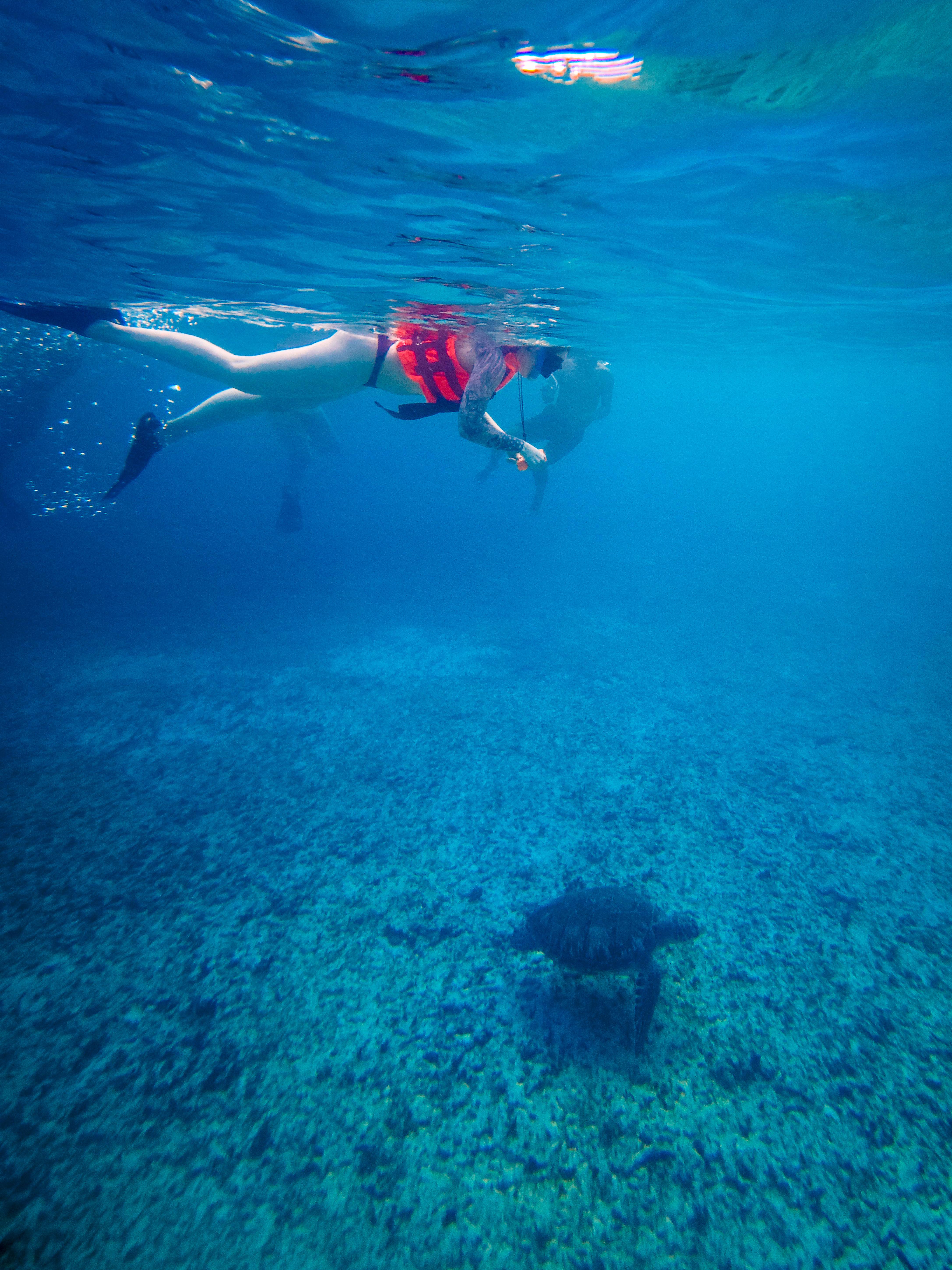 Tulum Ocean Snorkel: Sea Turtles, Coral Reef & Ruins View