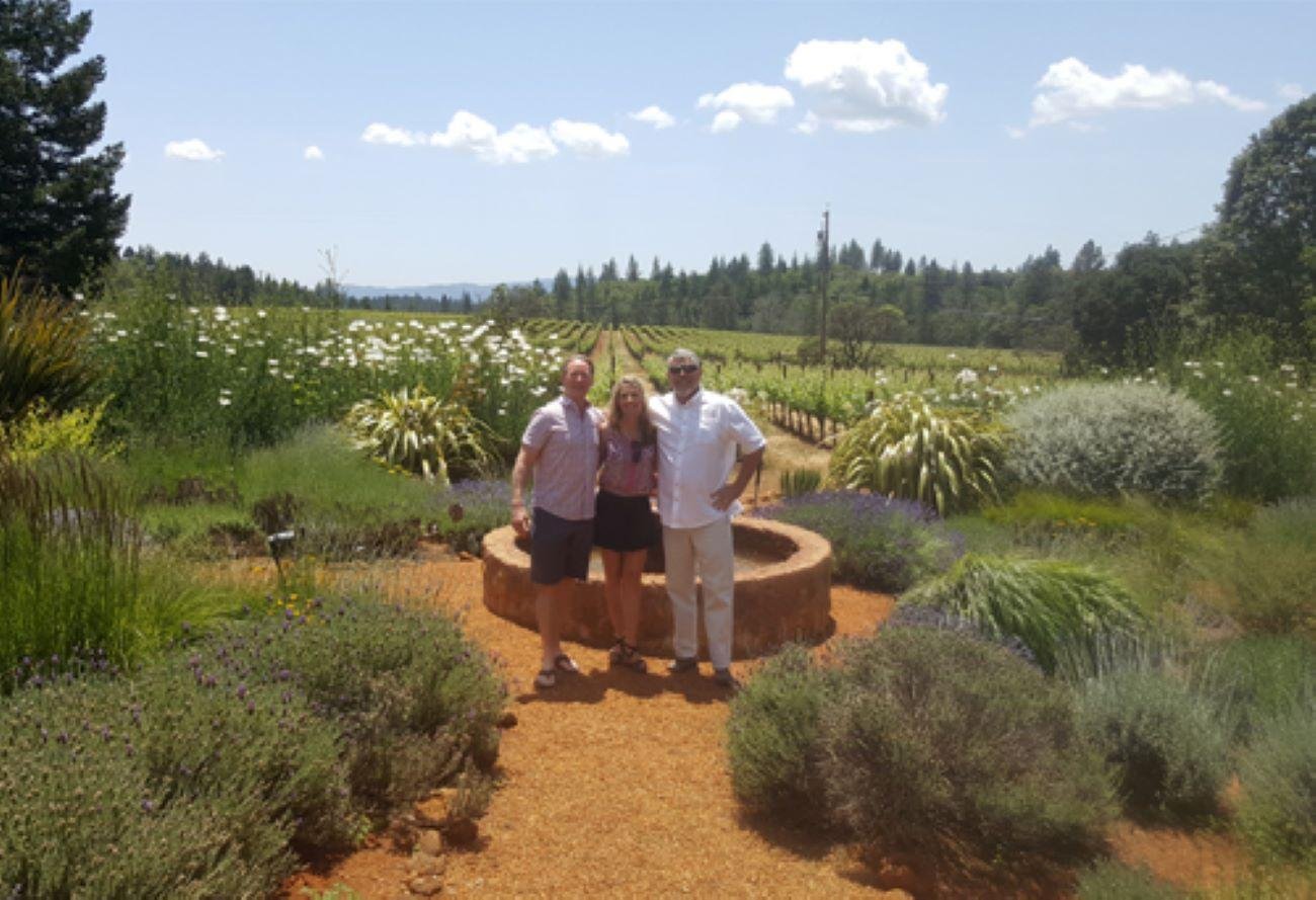 Napa & Sonoma Valley: Special Marriage Proposal Experience