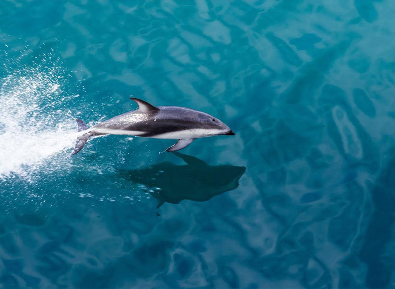 Milford Sound Small-Group Day Tour from Te Anau