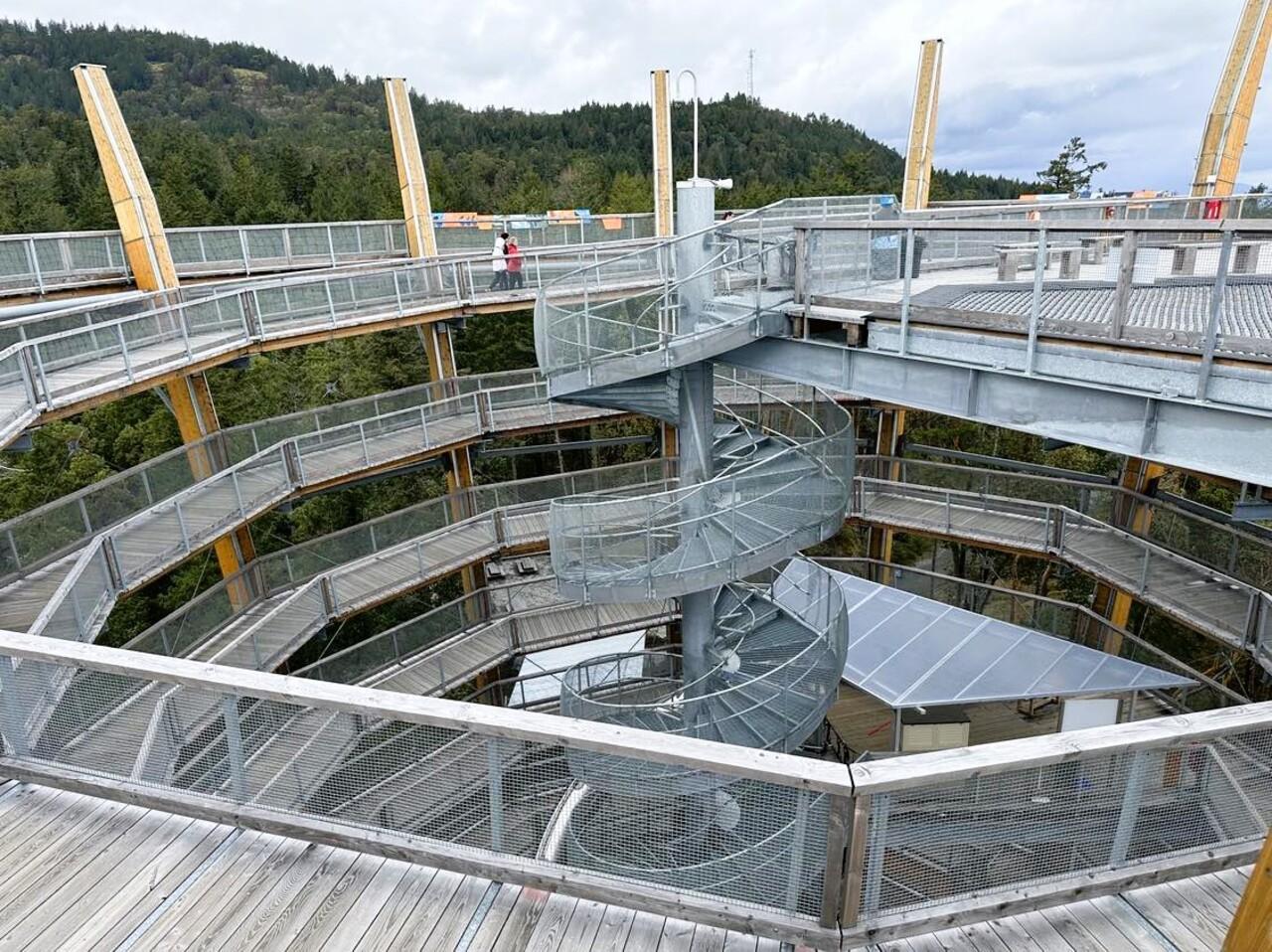 Private Victoria Highlights: SkyWalk, Castle, & Wharf