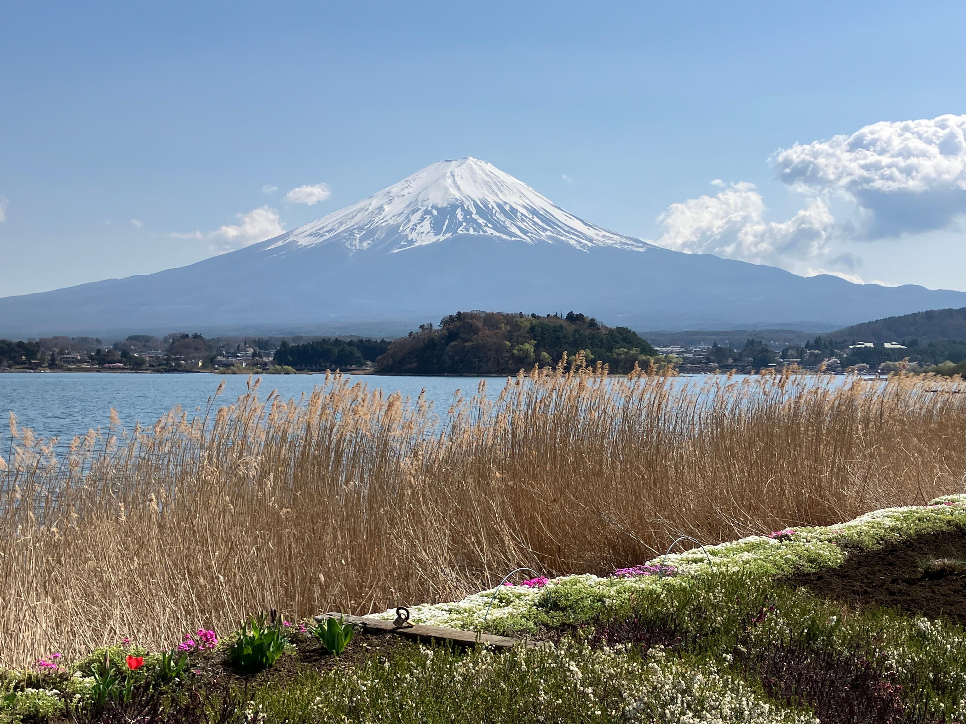 Mt. Fuji, Lake Kawaguchi & Chureito Pagoda Day Trip from Tokyo