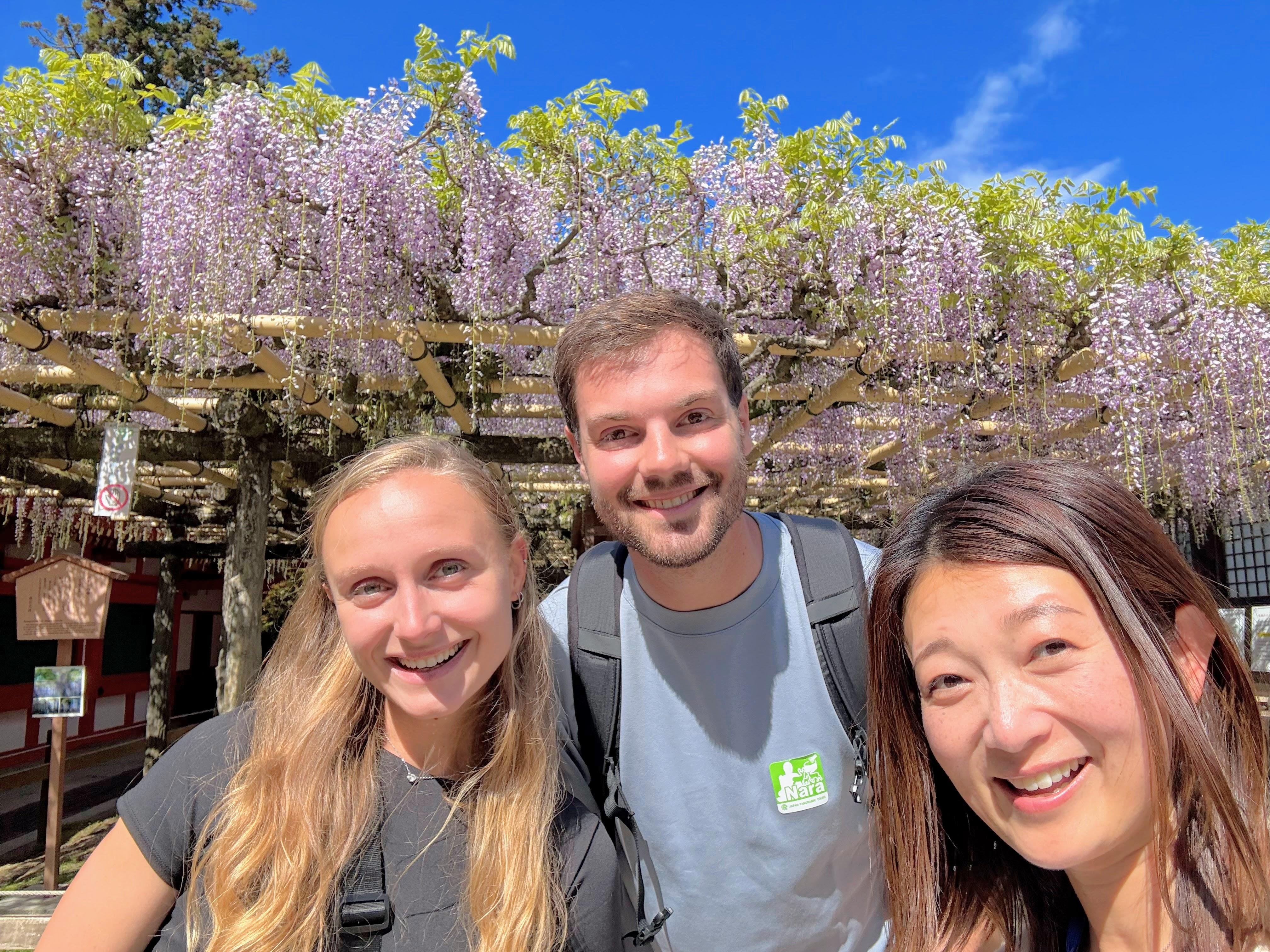 Nara Guided Half-Day Morning Tour from Kyoto