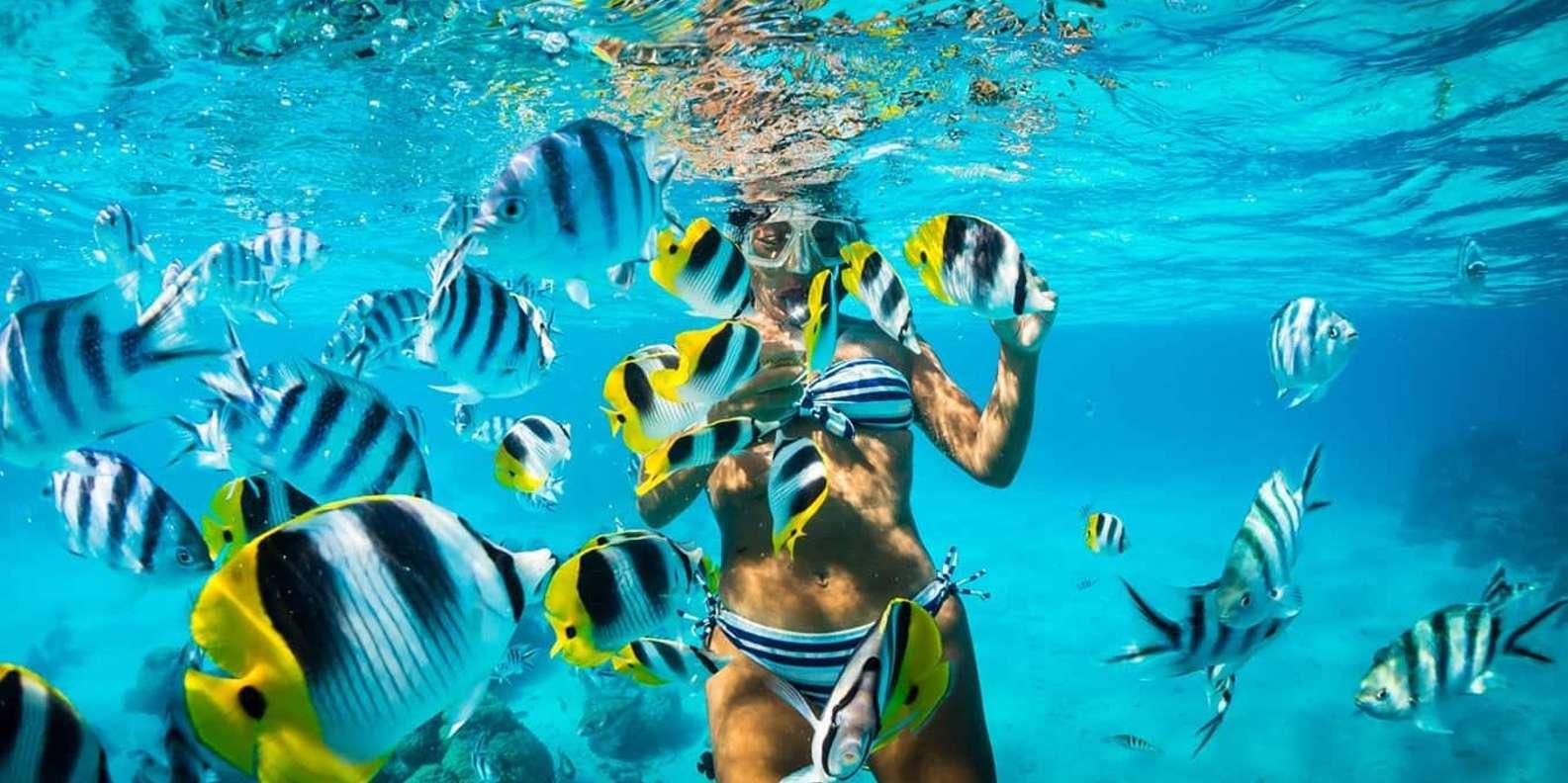 Punta Cana Private Catamaran: Snorkeling, Open Bar & Sailing