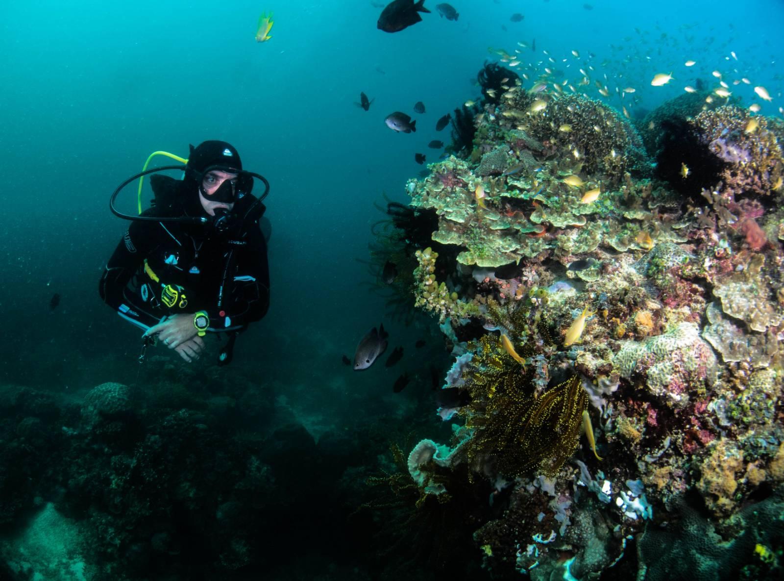 SSI Open Water Diver Certification in Boracay
