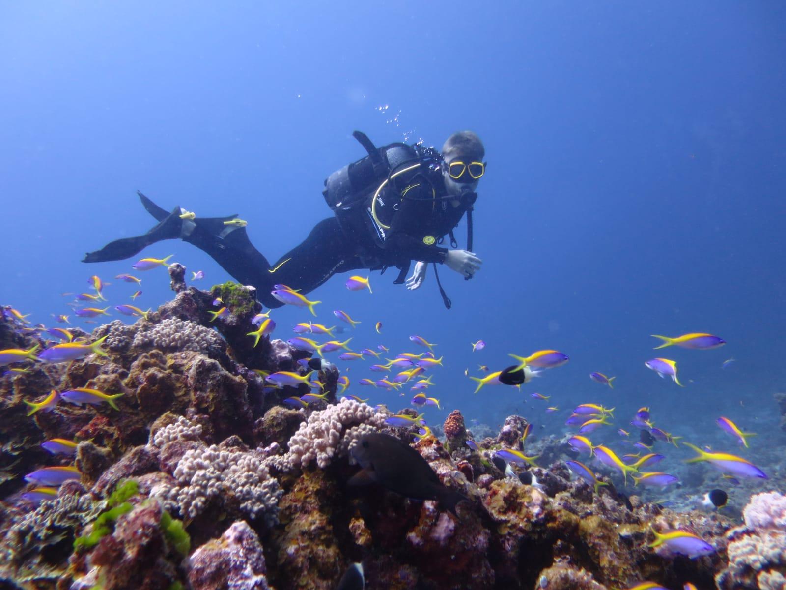Belle Mare Scuba Discovery: East Coast Mauritius Dive