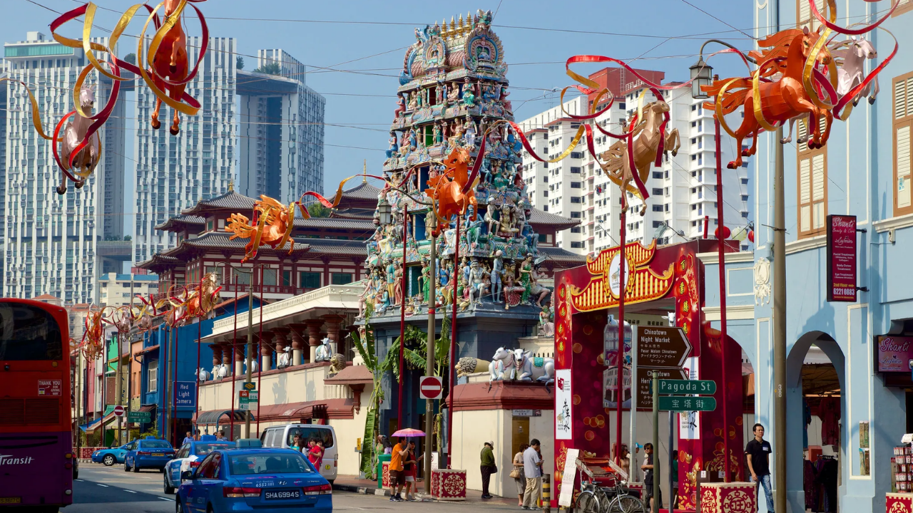 Private Customizable Singapore Discovery Tour
