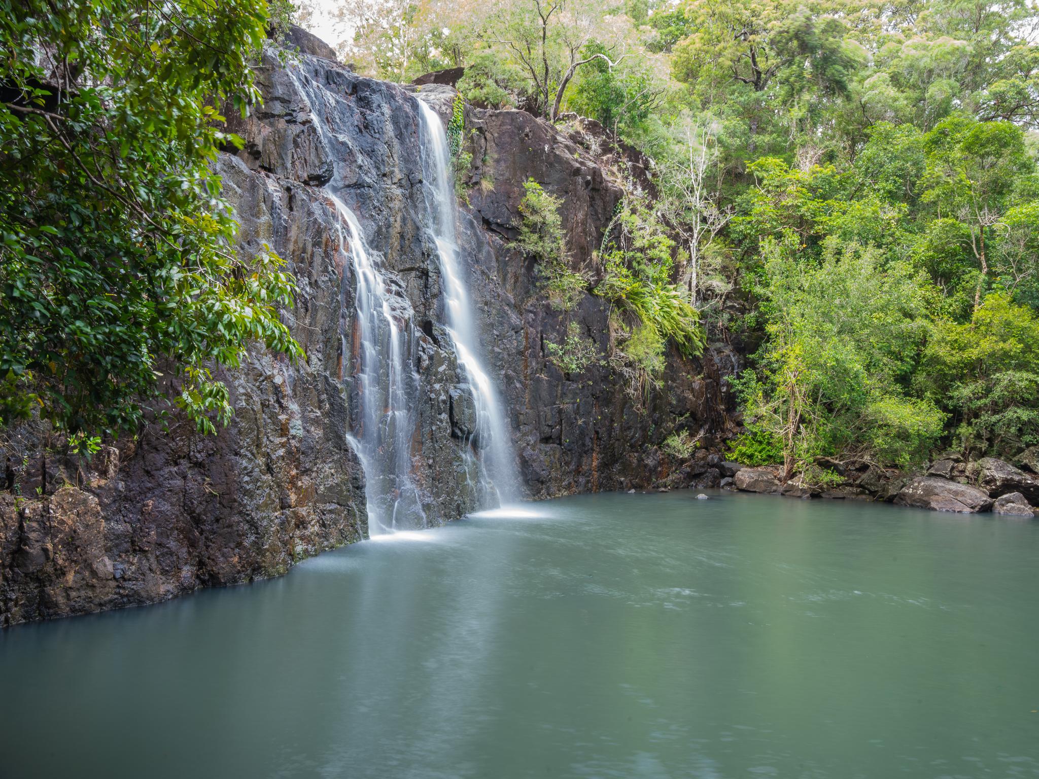 Cedar Creek Falls Eco Tour from Airlie Beach
