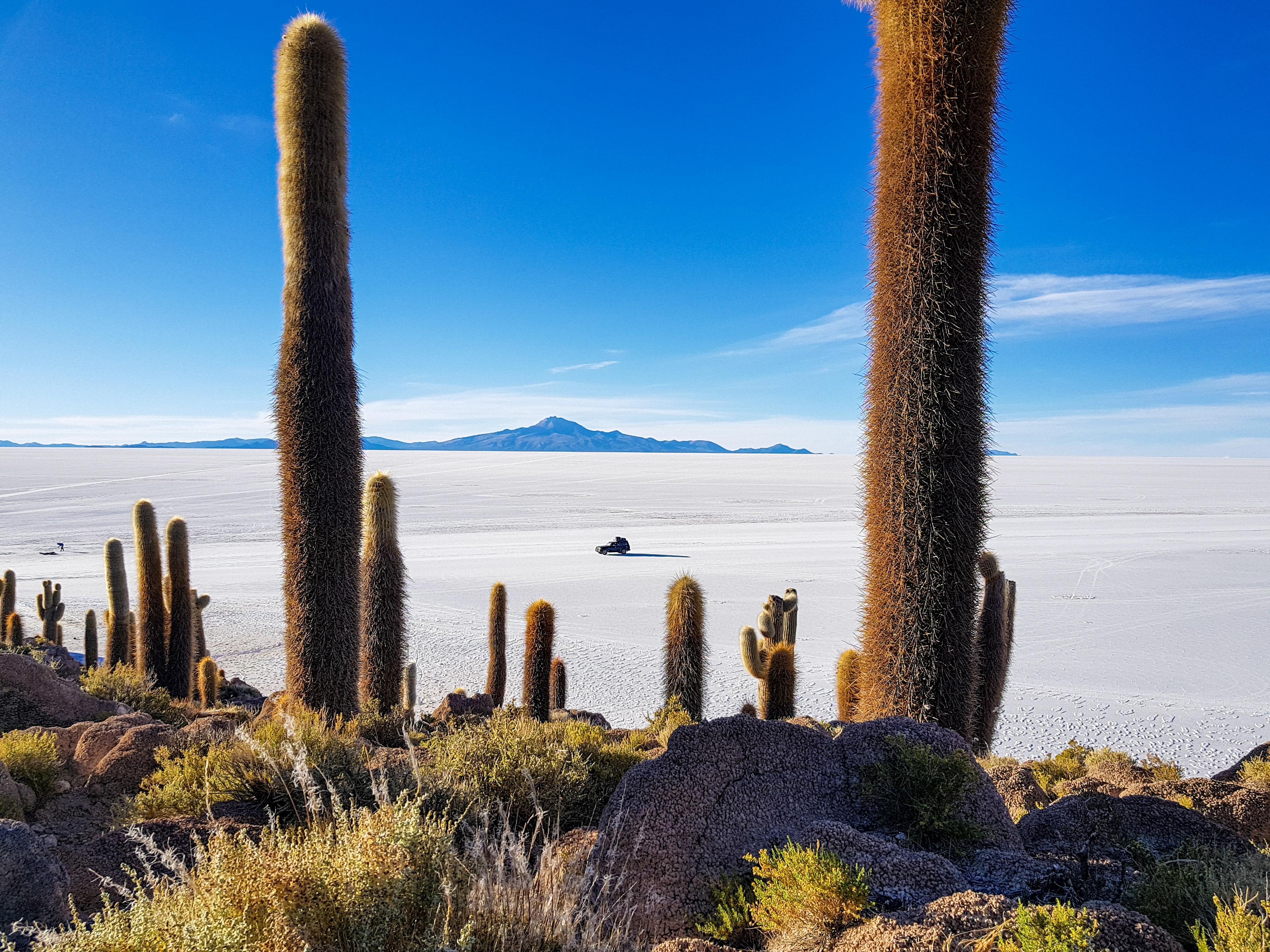Uyuni Salt Flats & Altiplano Lagoons: La Paz to San Pedro 4-Day Adventure