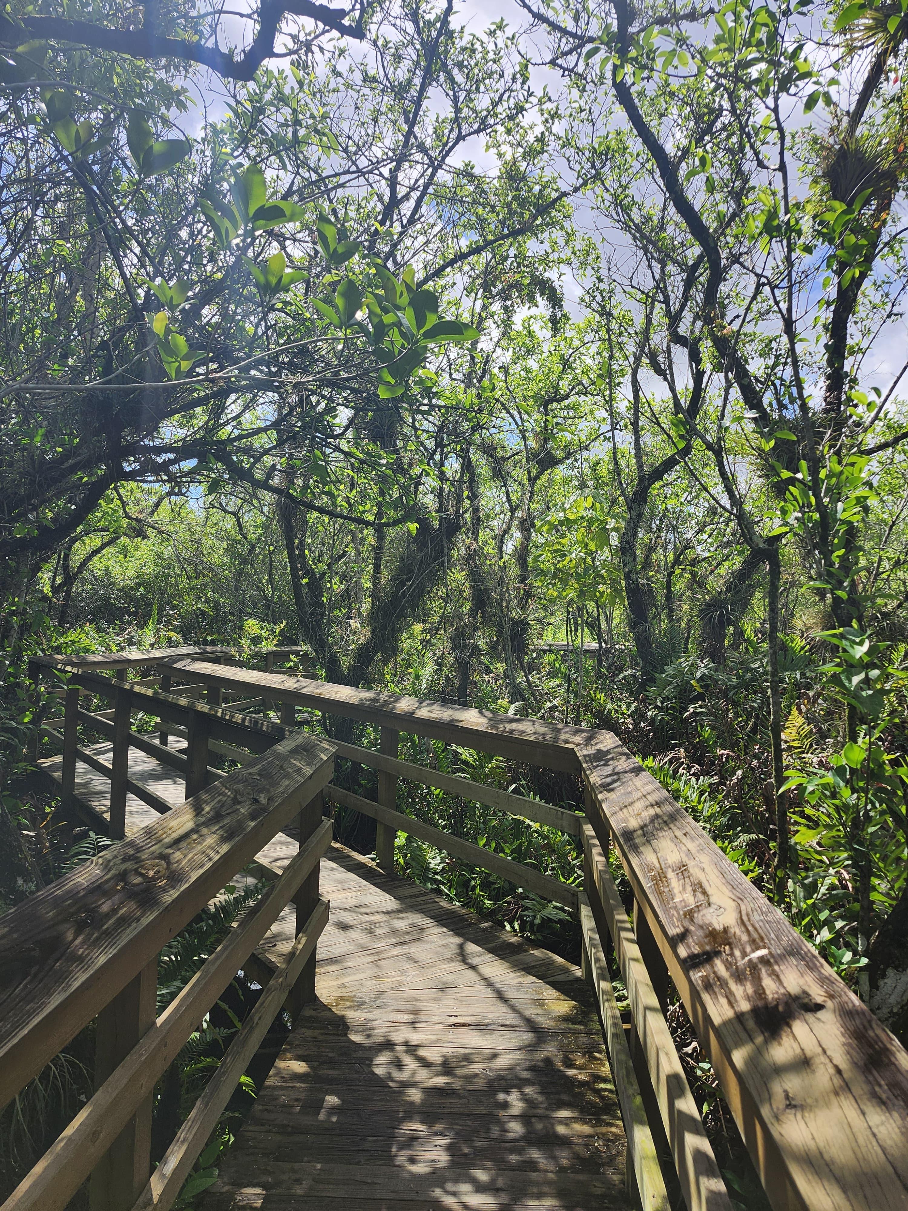 Small-Group Everglades Eco-Adventure & Private Islands Tour