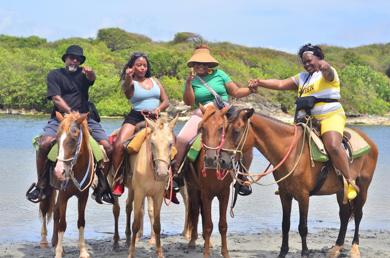 Punta Cana Horseback Riding Through Tropical Countryside