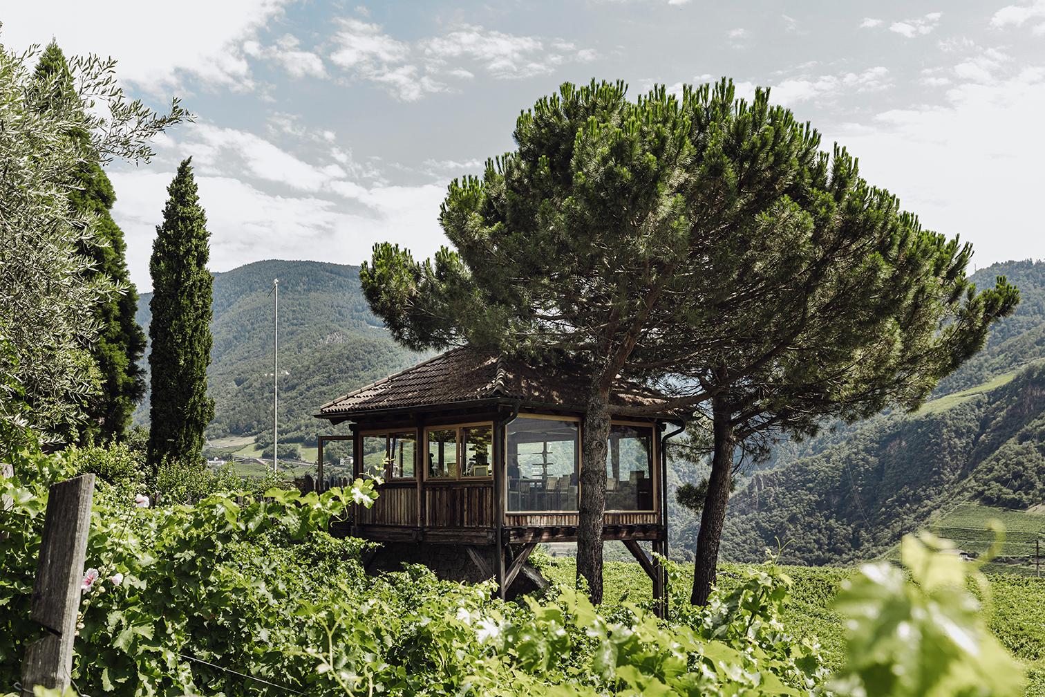 SKYWINE Pavilion Wine Tasting Experience