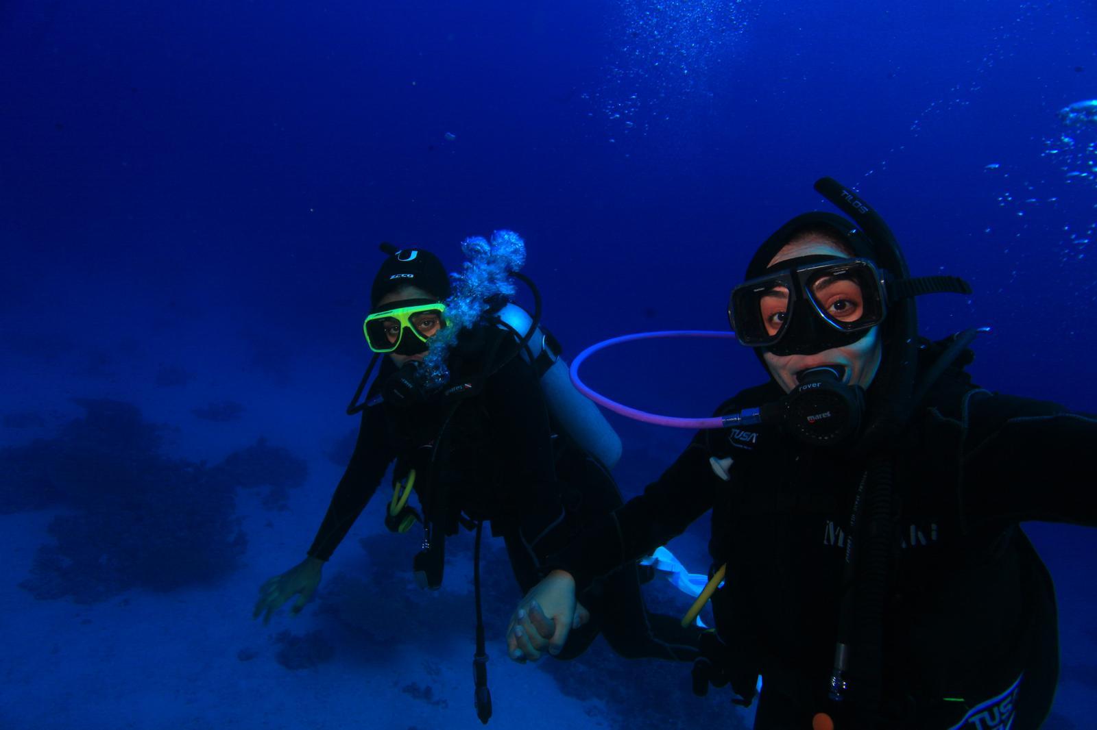 Tiran Island Snorkel & Dive Cruise from Sharm El-Sheikh with Buffet Lunch