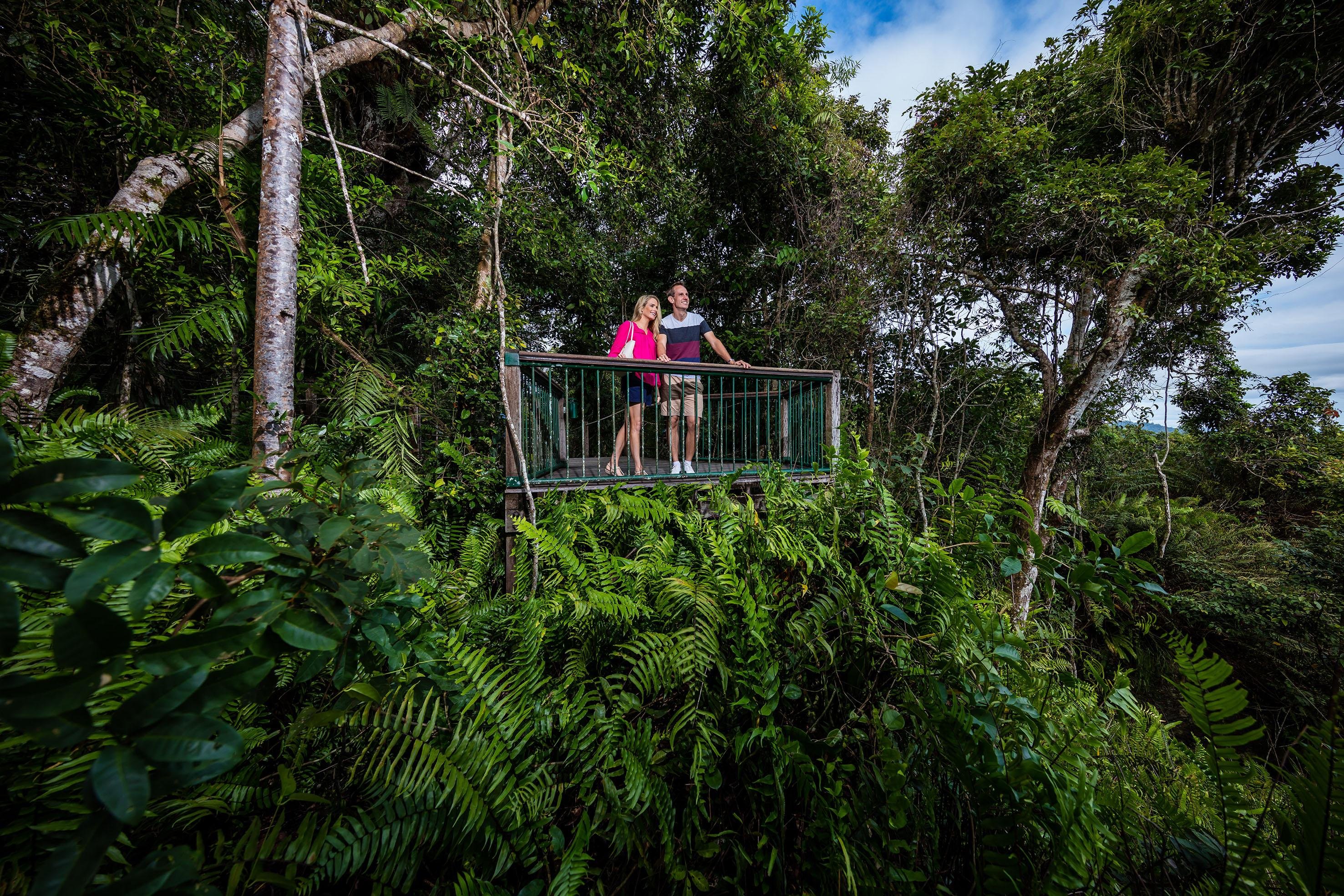 Cairns to Kuranda: Scenic Railway & Skyrail Rainforest Cableway Day Trip