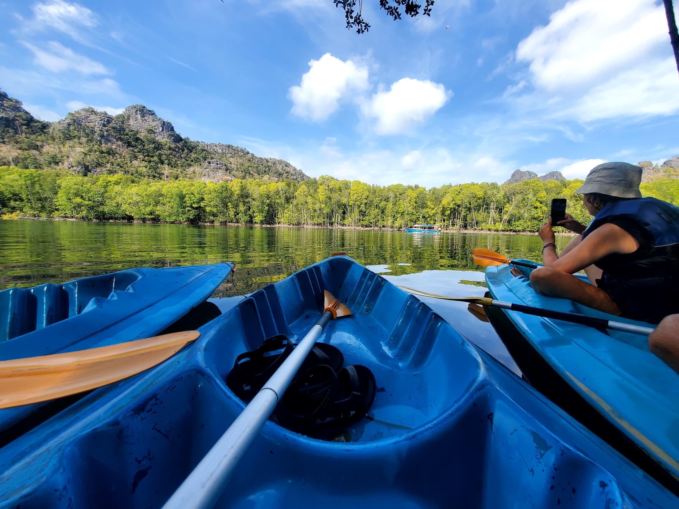 Golden Hour Mangrove Kayaking Adventure