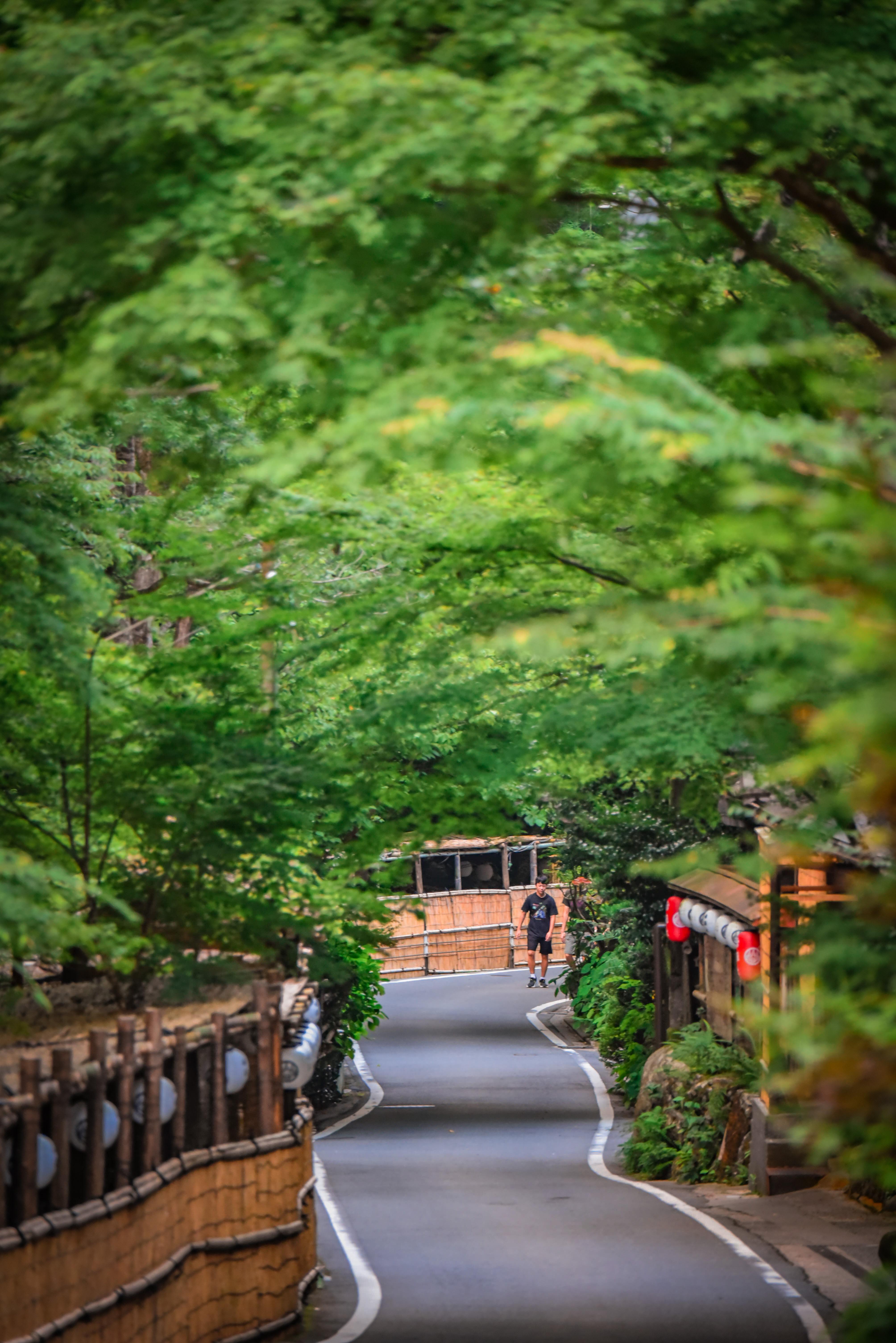 Kyoto Private Day Tour with Guide & Vehicle
