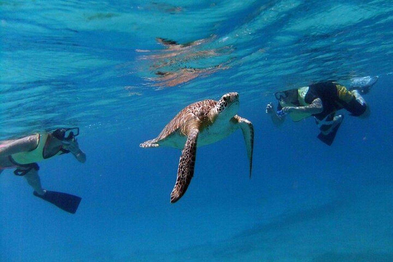 Catamaran Sail & Snorkel at Little Buck Island