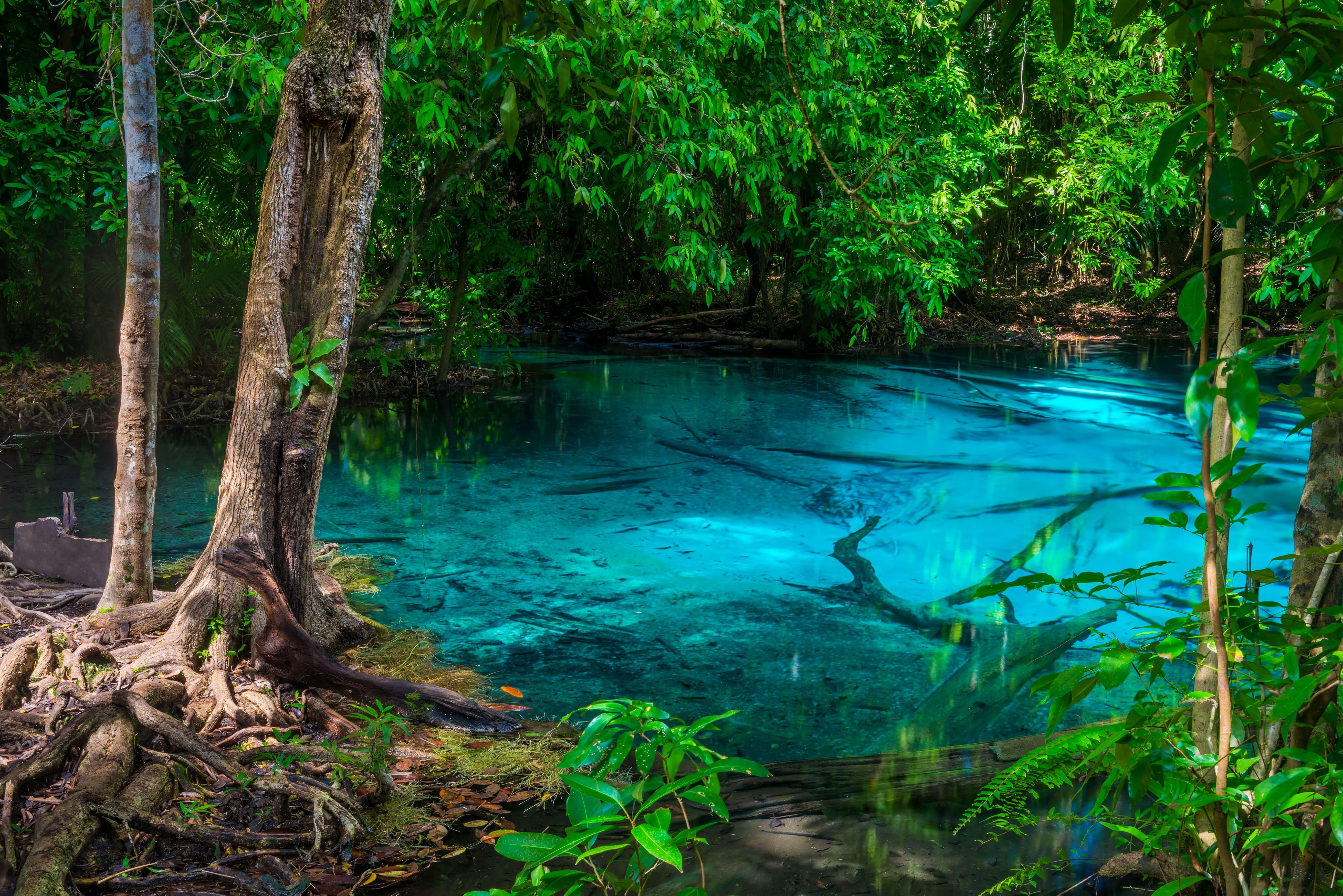 Krabi Day Trip: Tiger Cave Temple, Emerald Pool & Hot Springs