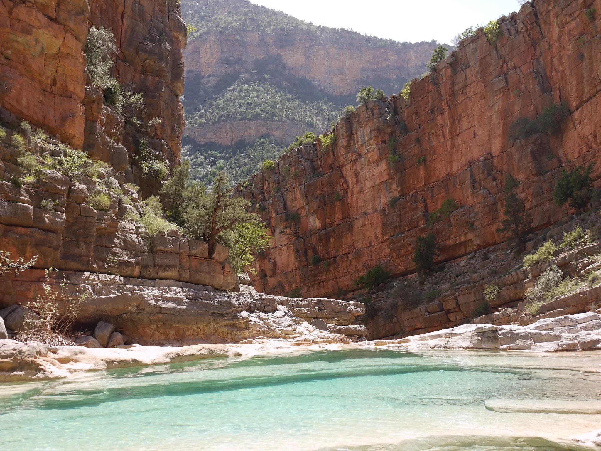 Agadir: Paradise Valley Guided Mountain Escape