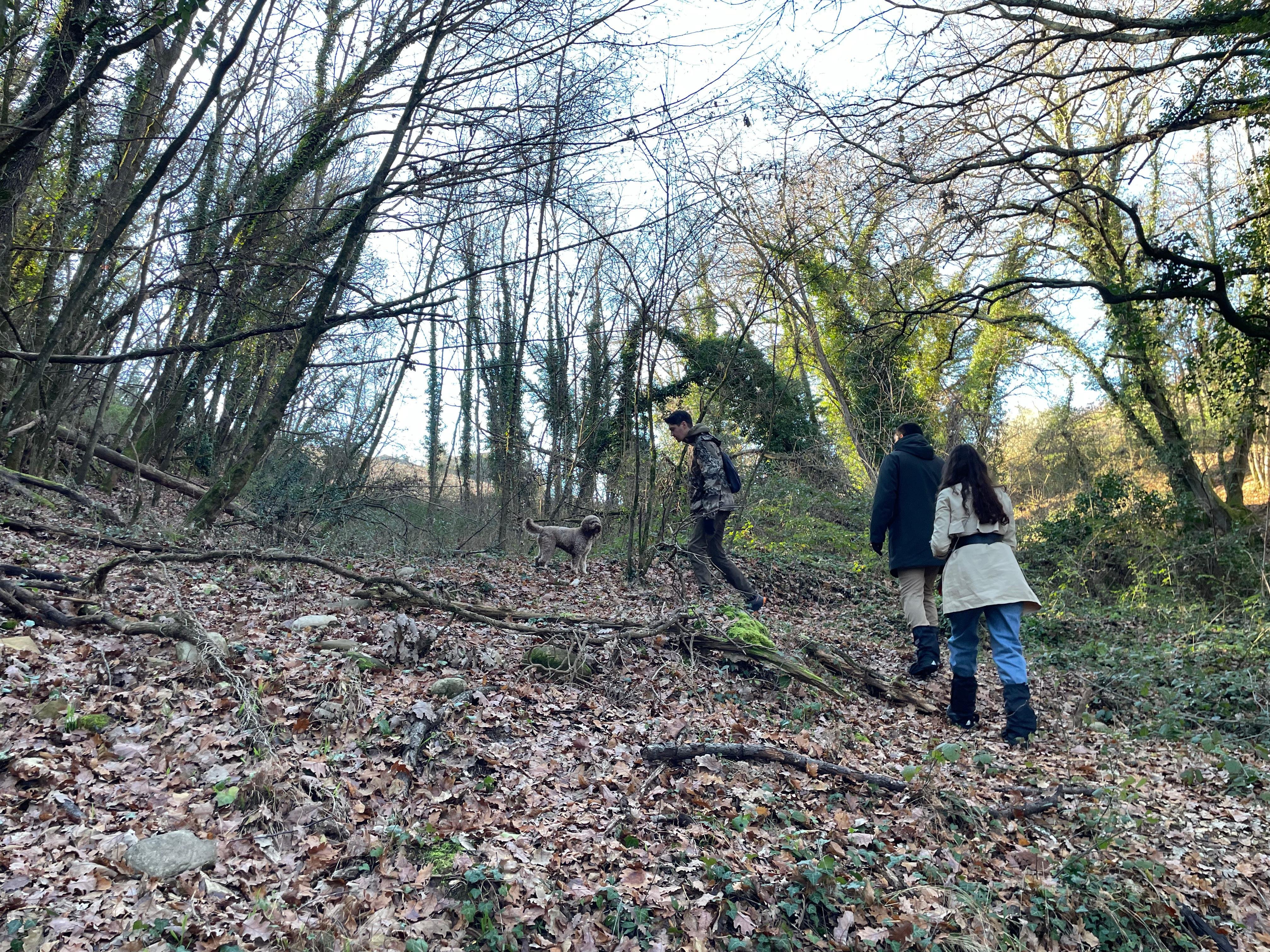 truffle hunting in Tuscany — Truffle hunting in Chianti with pasta cooking class & lunch