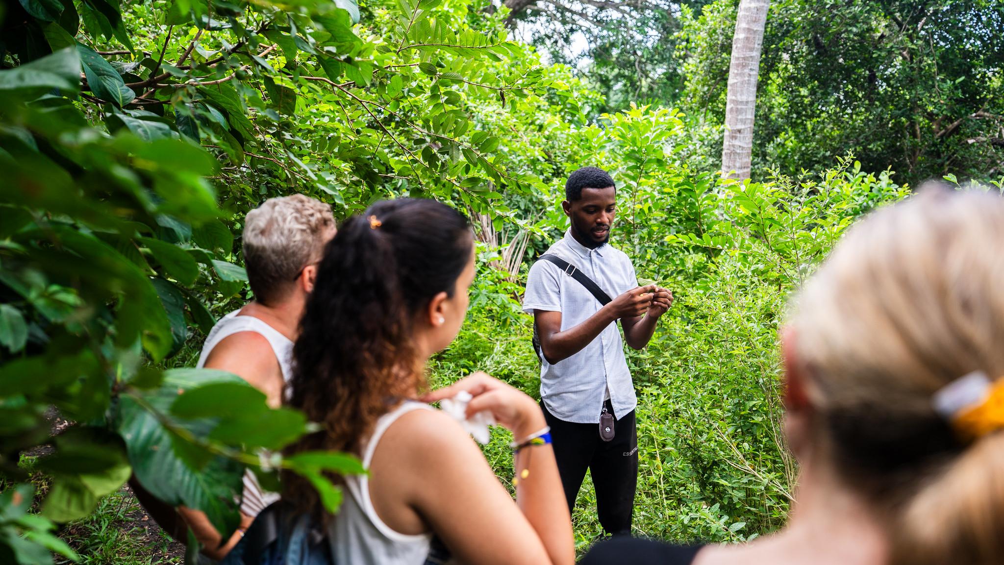 Zanzibar Hidden Gems: Secret Beach, Kuza Cave & Jozani Forest