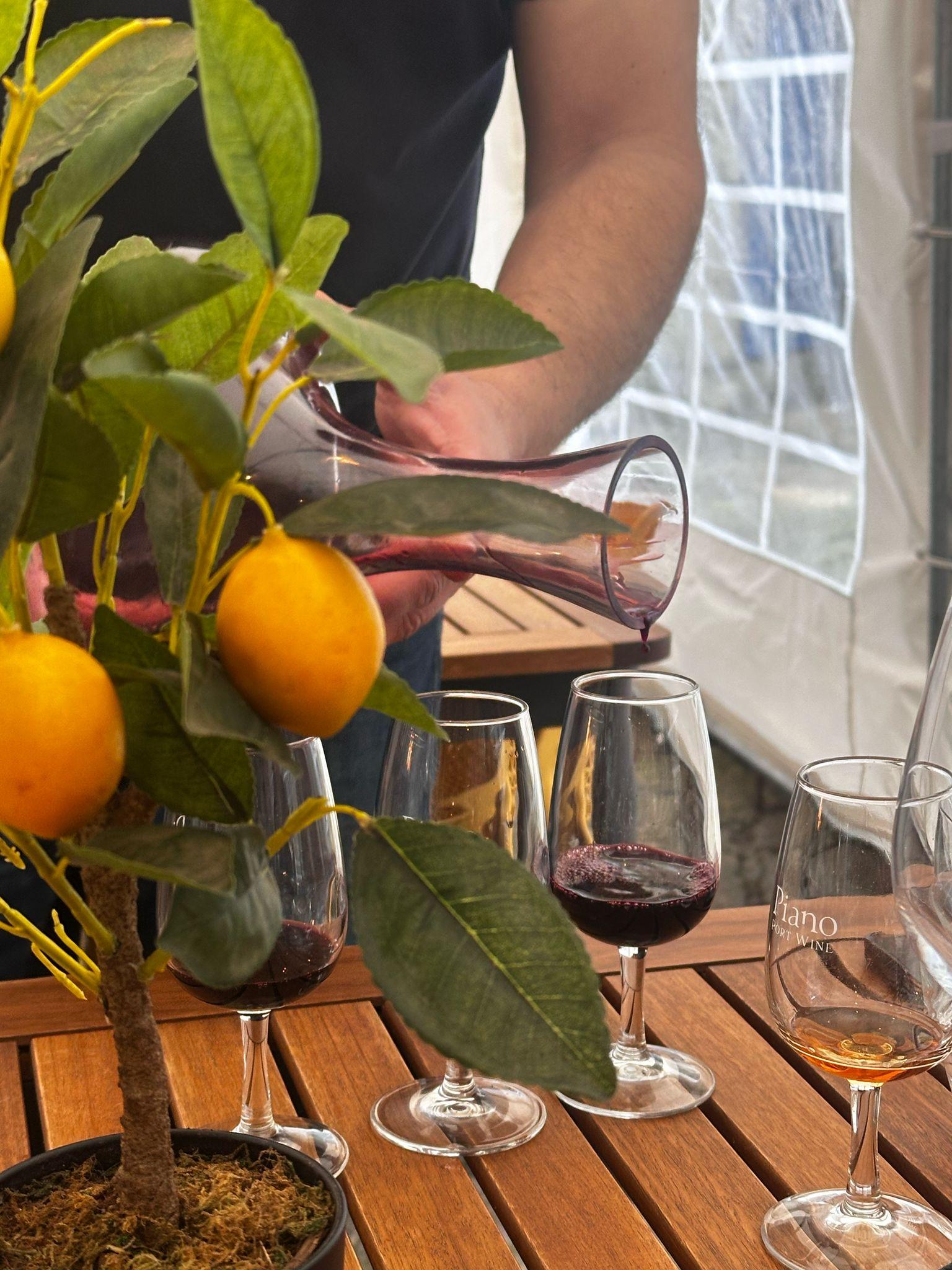 Douro Valley Small-Group Wine & Boat Tour from Porto