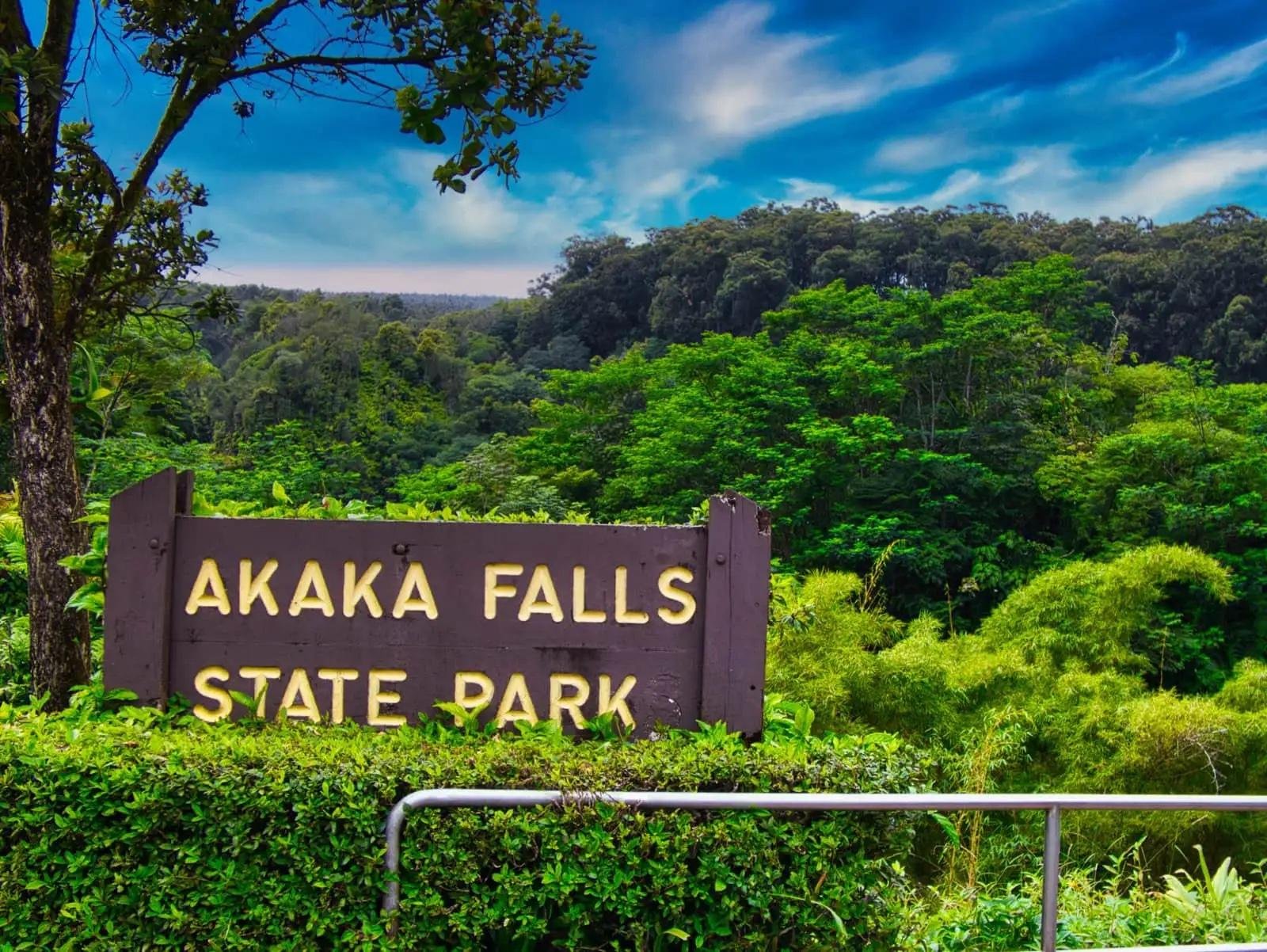 Hilo Waterfalls & Volcano Explorer Full-Day Tour