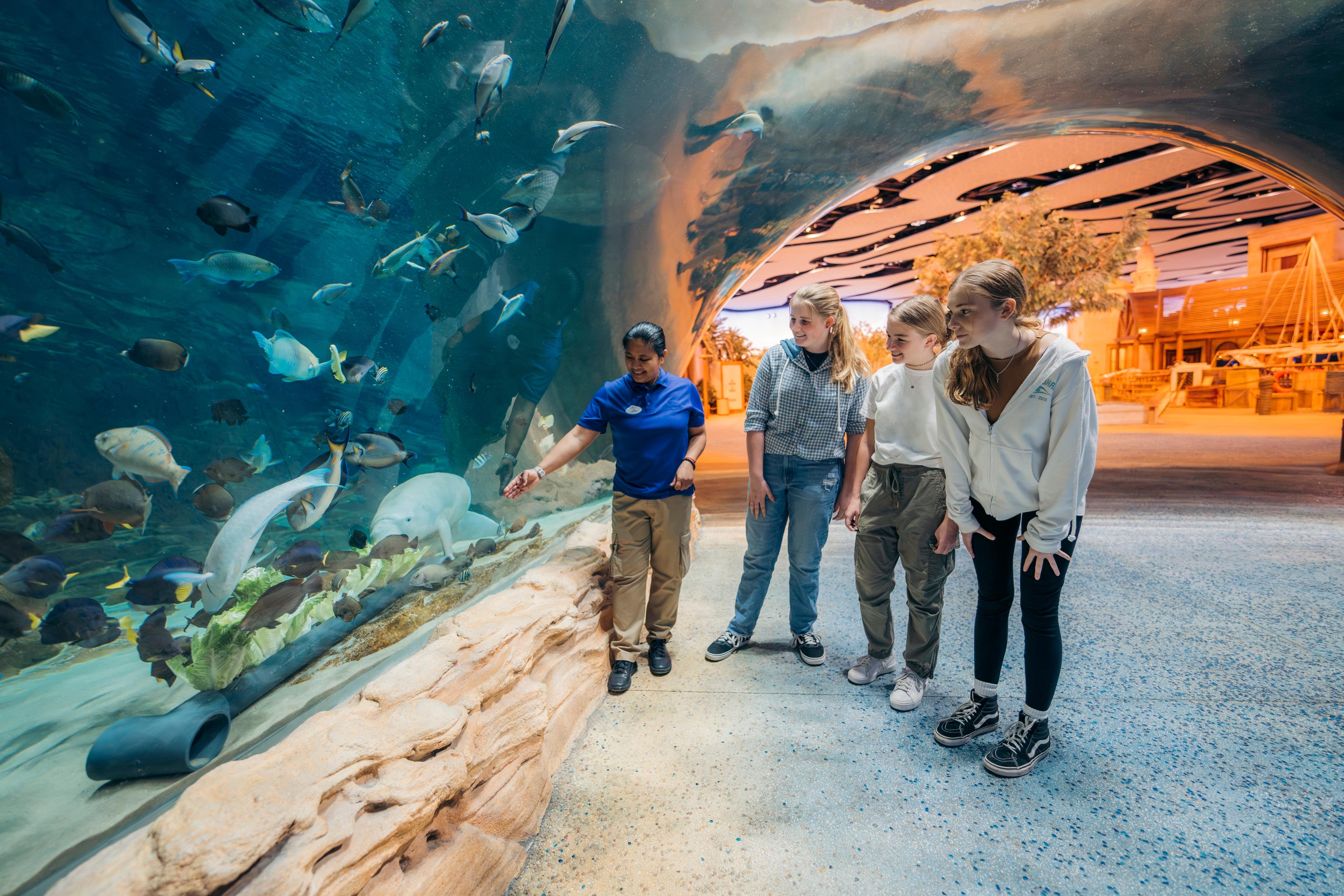 Abu Dhabi: SeaWorld Yas Island Entry Ticket & Add-On Experiences