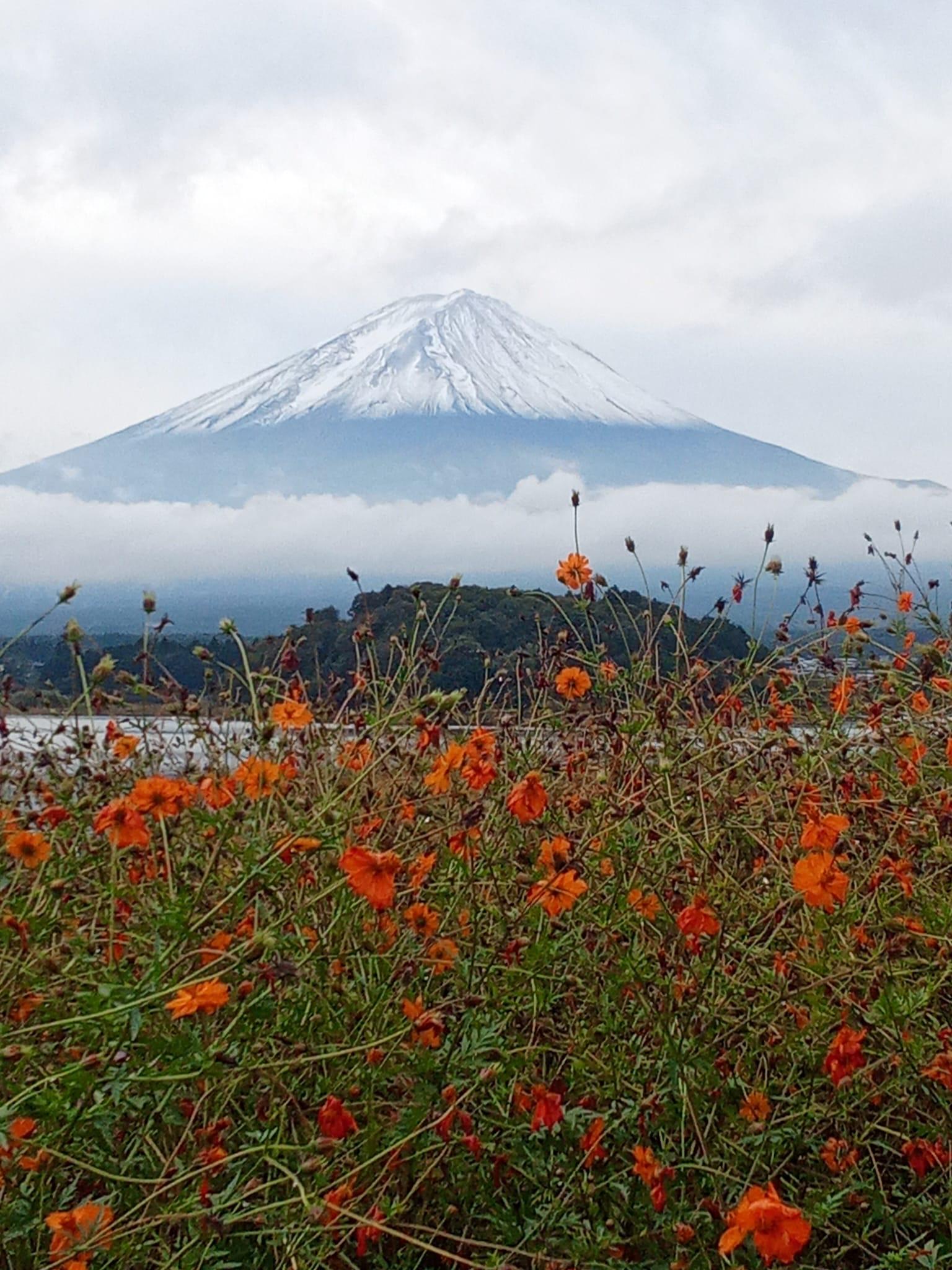 Mount Fuji Private Day Tour from Tokyo with English Guide