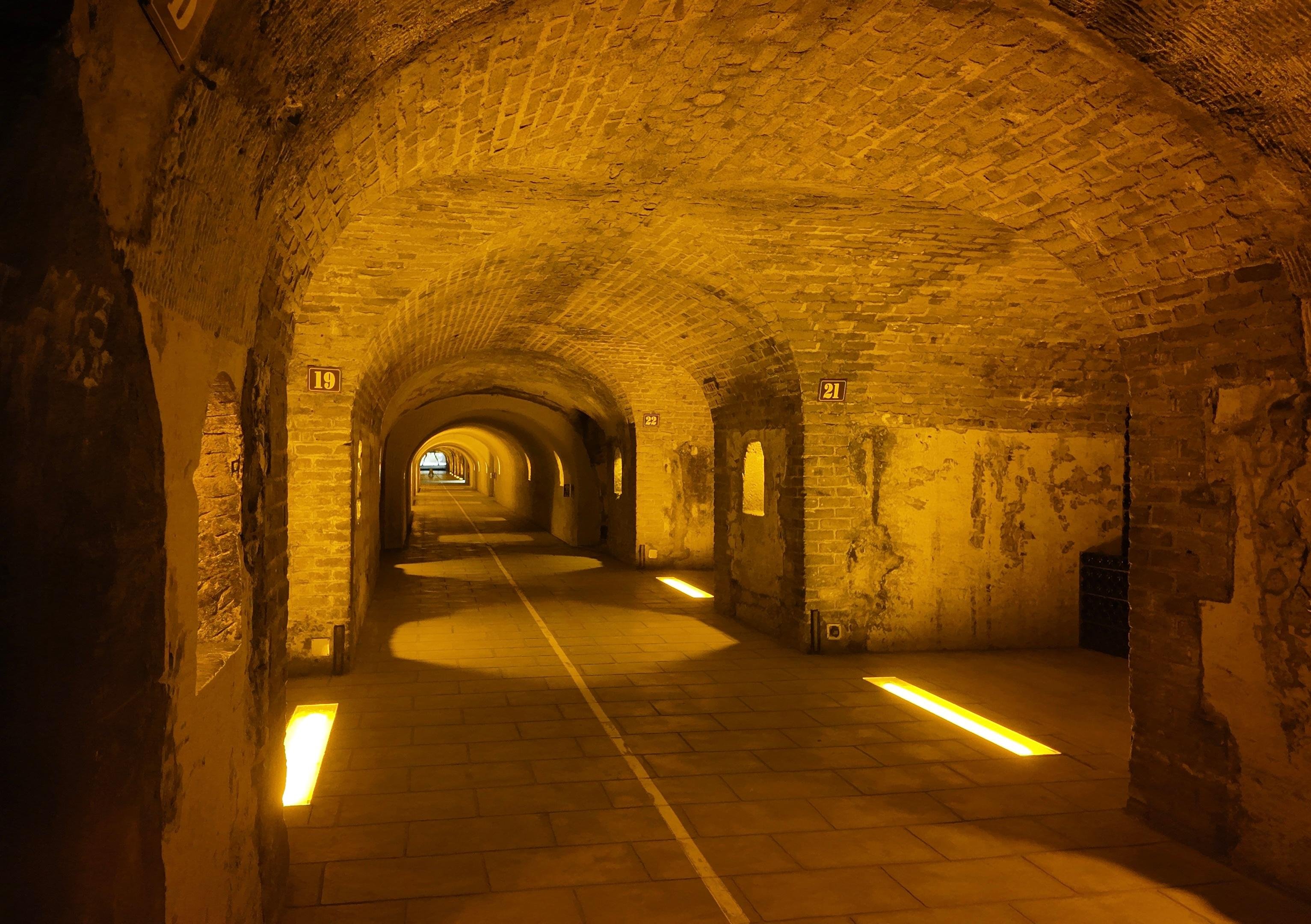 Moët & Chandon Champagne tour — Avenue de Champagne, 28 km chalk cellars, riddling racks, Dom Pérignon — image 8