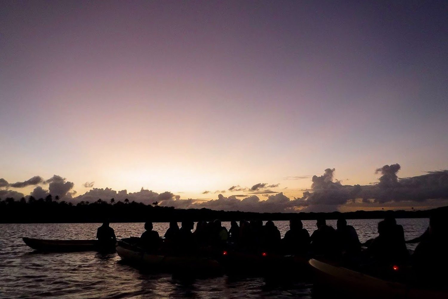 Full-Day El Yunque Rainforest and Bioluminescent Bay Expedition