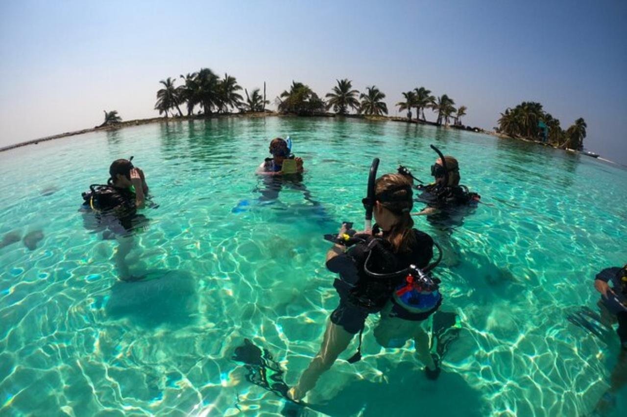 Beginner Scuba Diving with Reef Exploration in Placencia