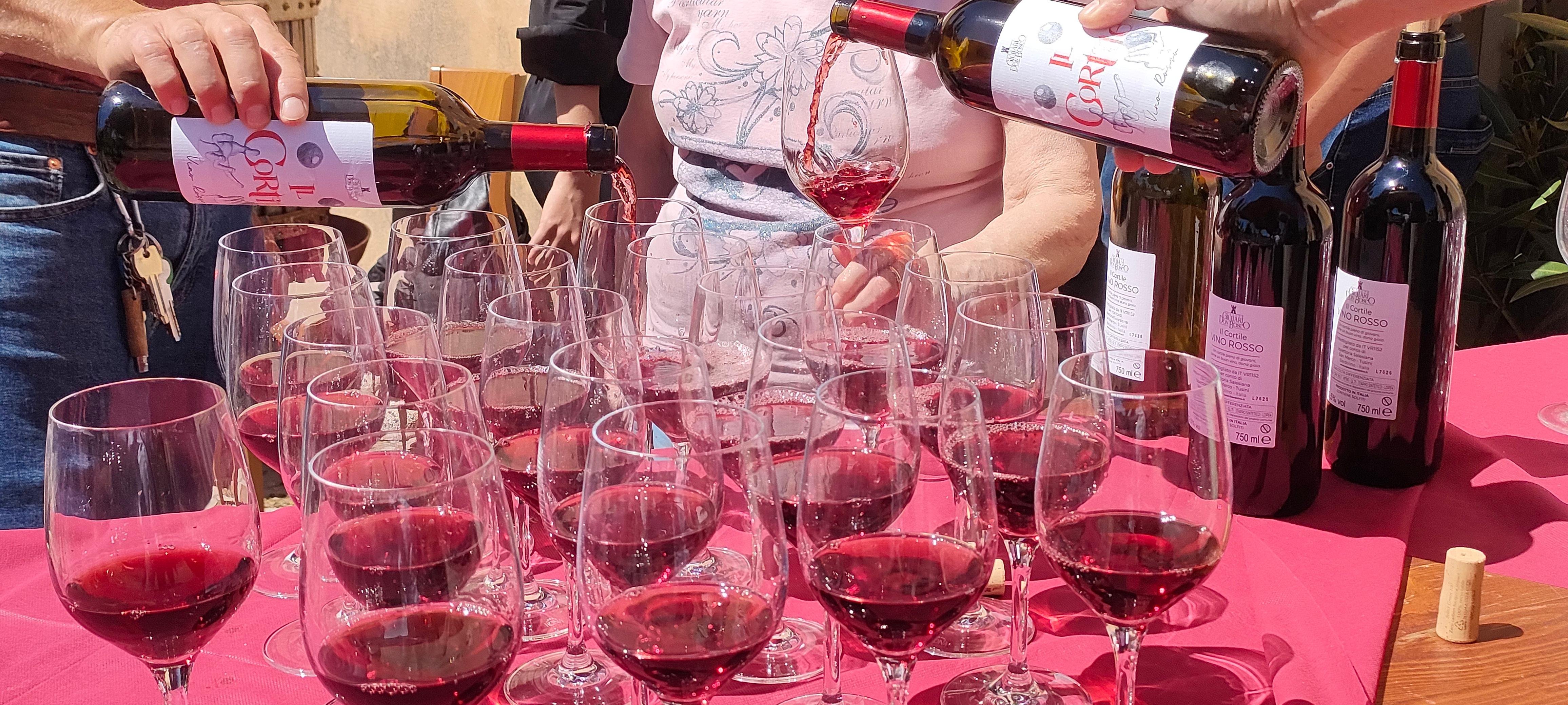 Bardolino: Vineyard tour and 5 Wine tasting on the hills