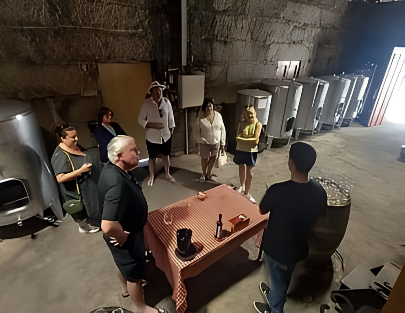 Douro Valley Small-Group Wine & Boat Tour from Porto