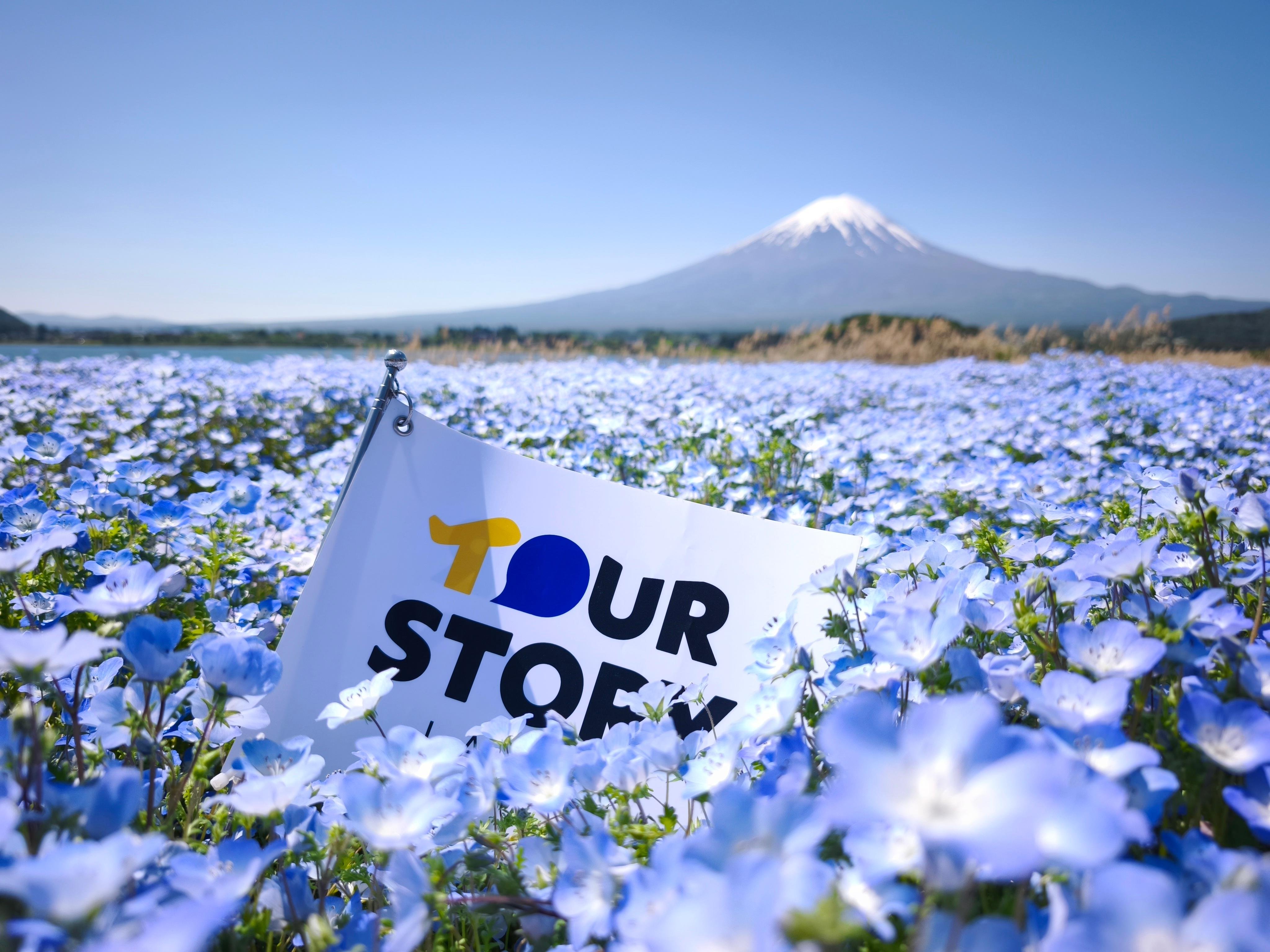 Mount Fuji Full-Day Tour from Tokyo: Two Routes, One Iconic Mountain