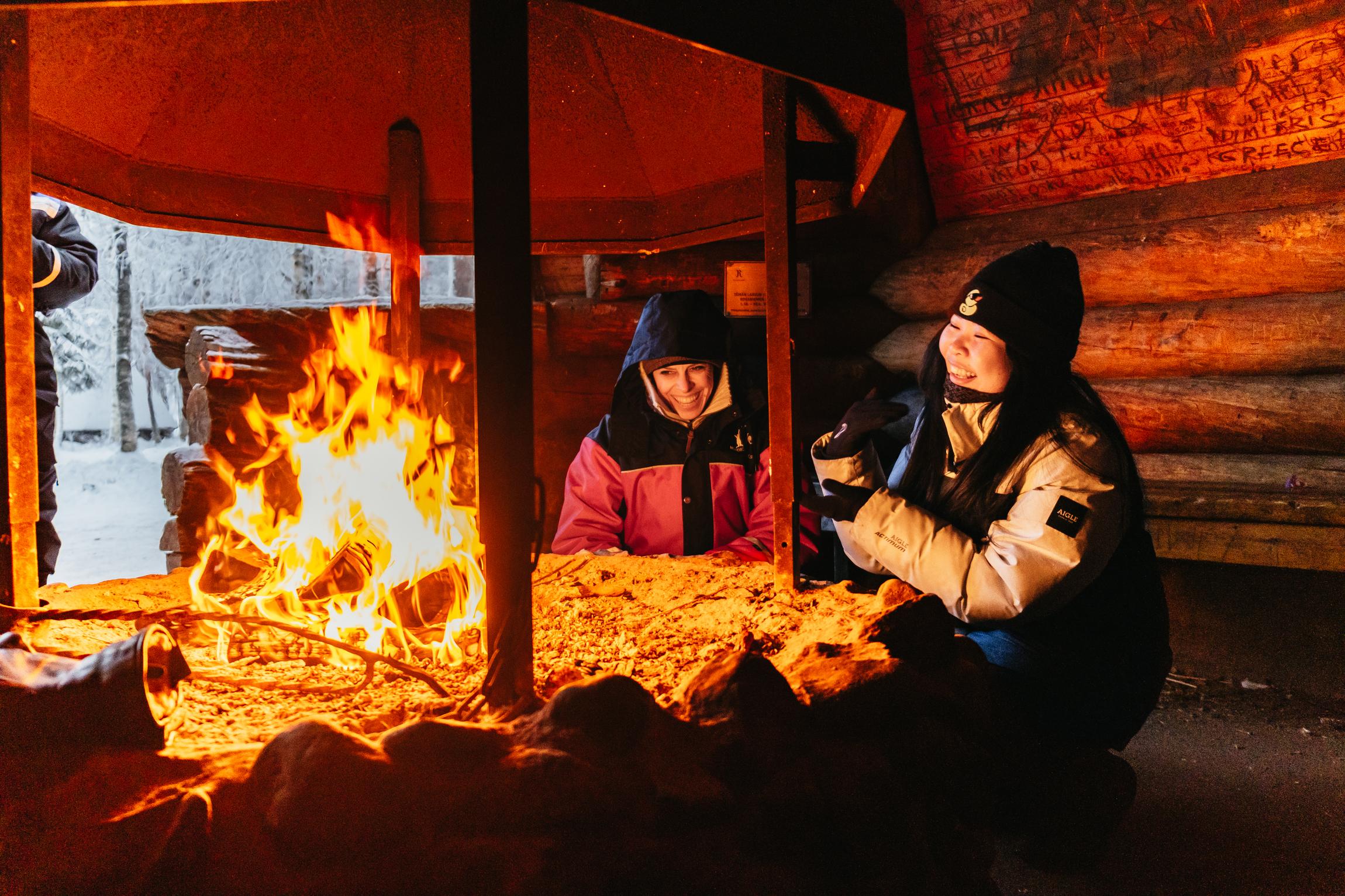 Rovaniemi Snowmobile Safari & Arctic Wildlife Day Tour