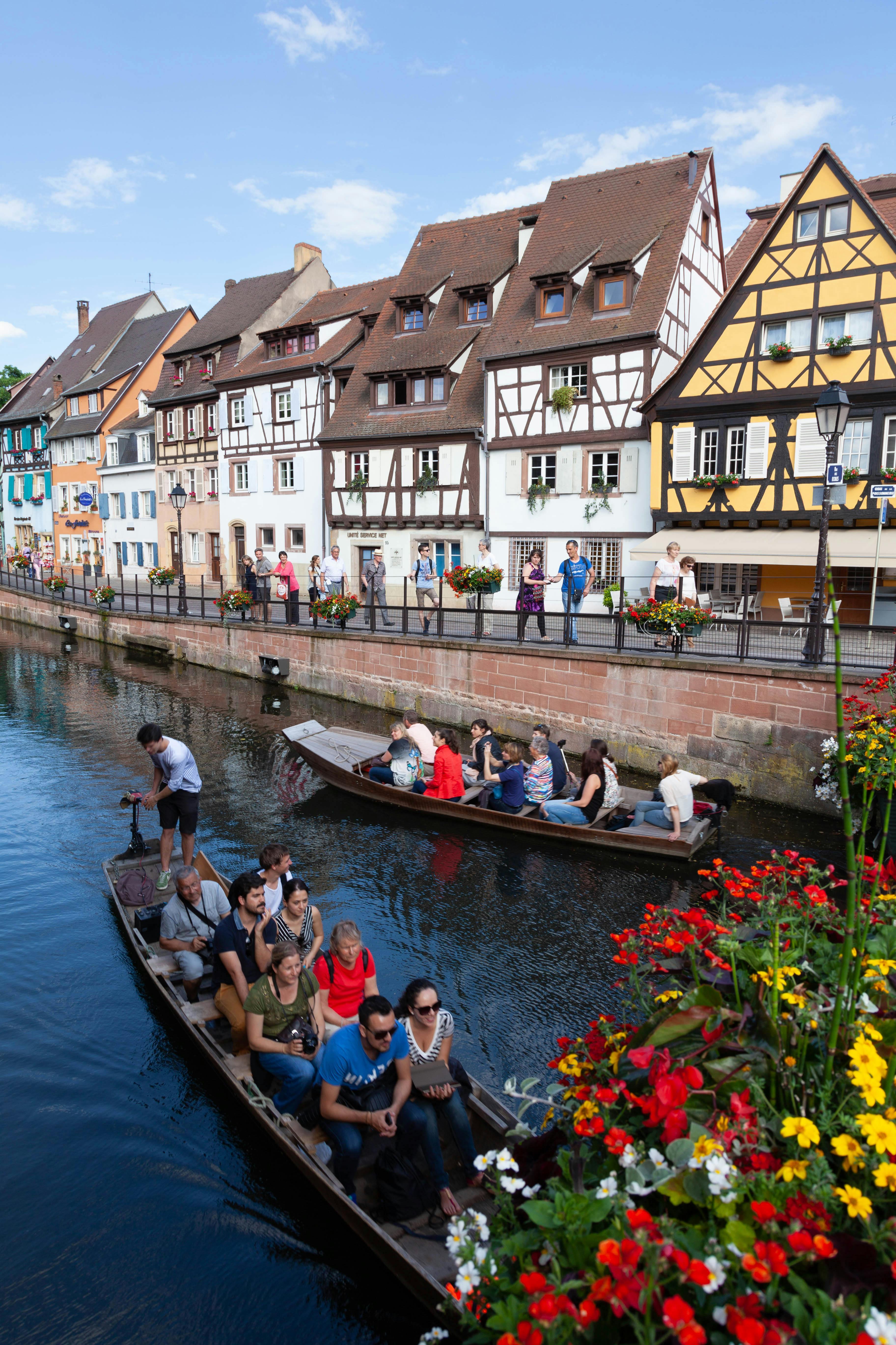 Alsace Wine Route: Colmar, Riquewihr & Haut-Koenigsbourg Castle Day Trip