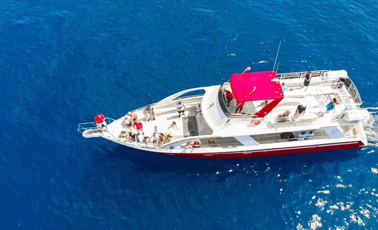Tenerife Eco-Yacht Whale & Dolphin Watching Cruise