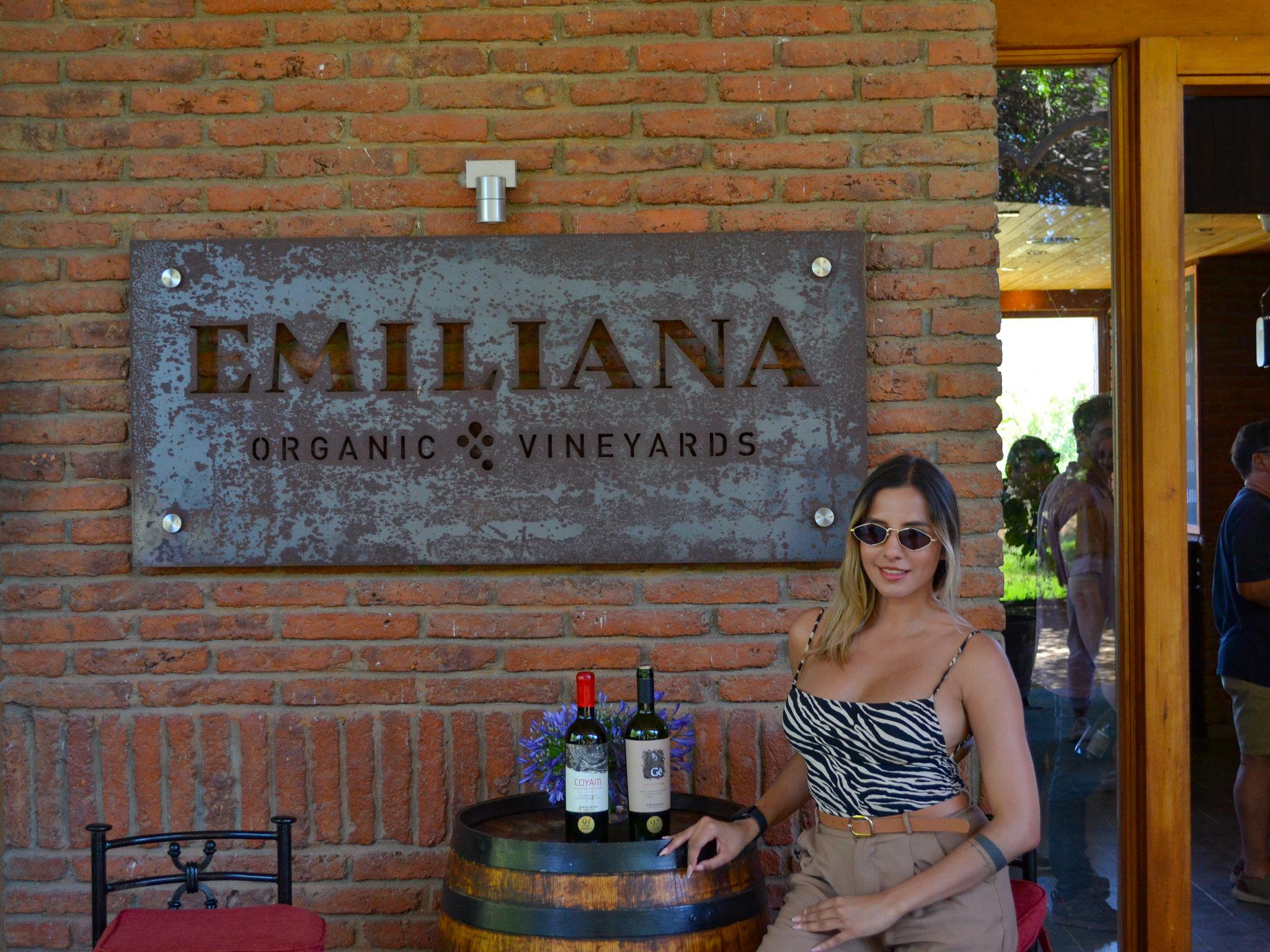 Valparaíso wine tour, the Casablanca Valley and Valparaíso's hills — image 77