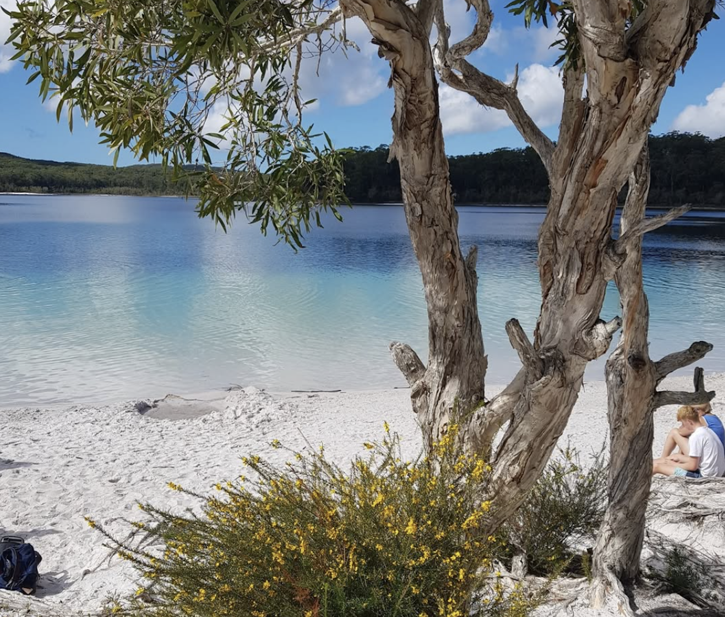 K'gari Island Full-Day Adventure with Ferry & Lunch
