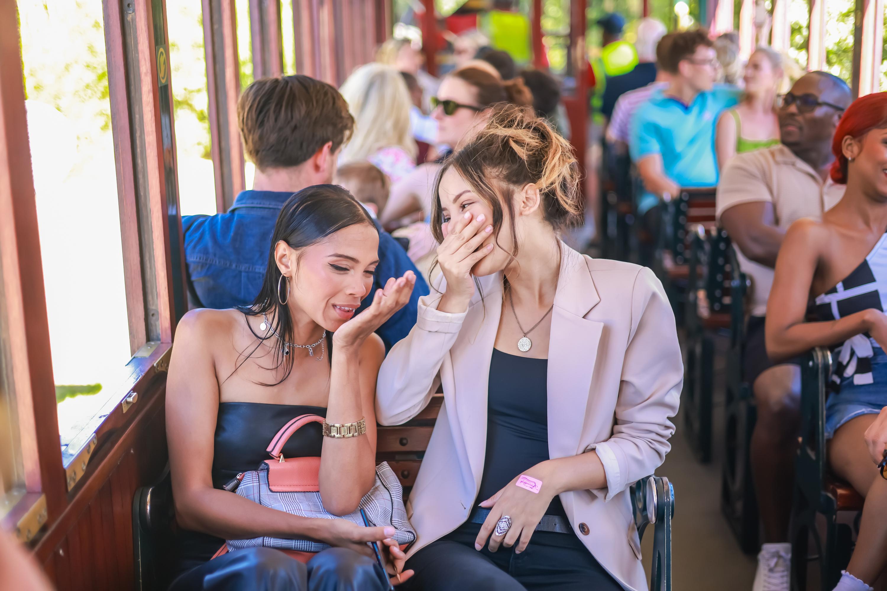 Cape Town Full-Day Wine Tasting & Wine Tram Tour