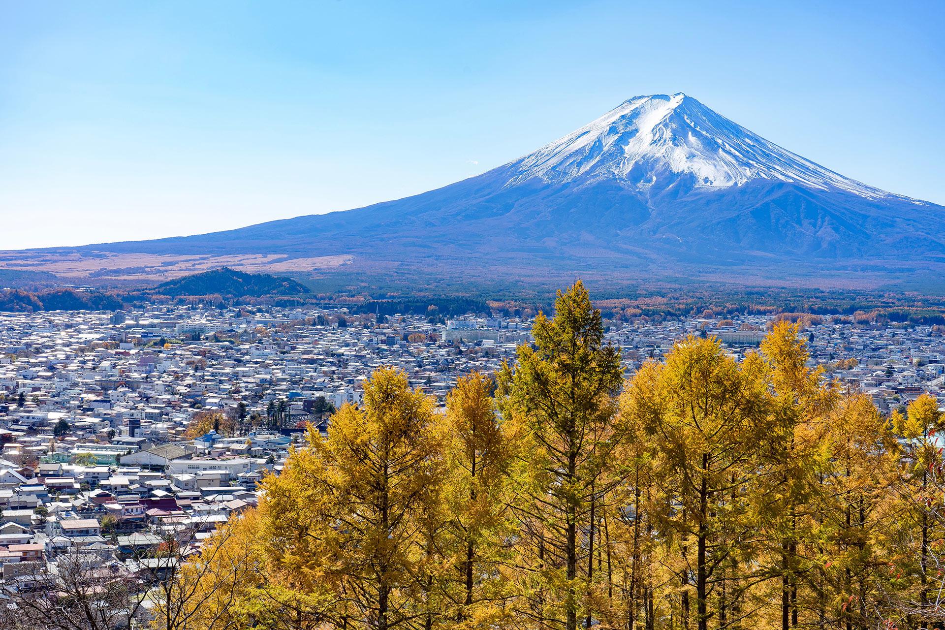 Mt Fuji day trip from Tokyo — image 13